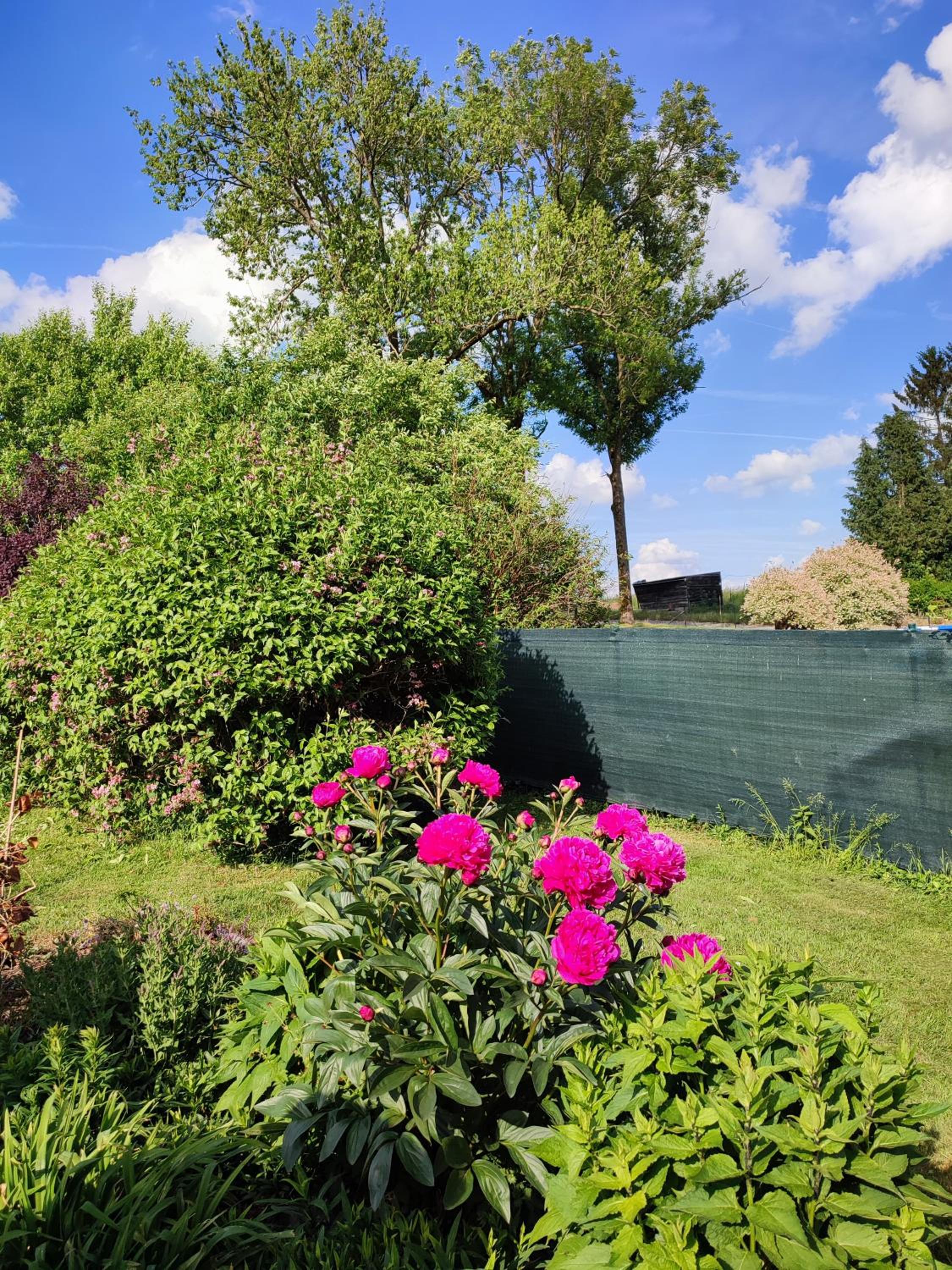 Vakantiestudio Ciney view 5