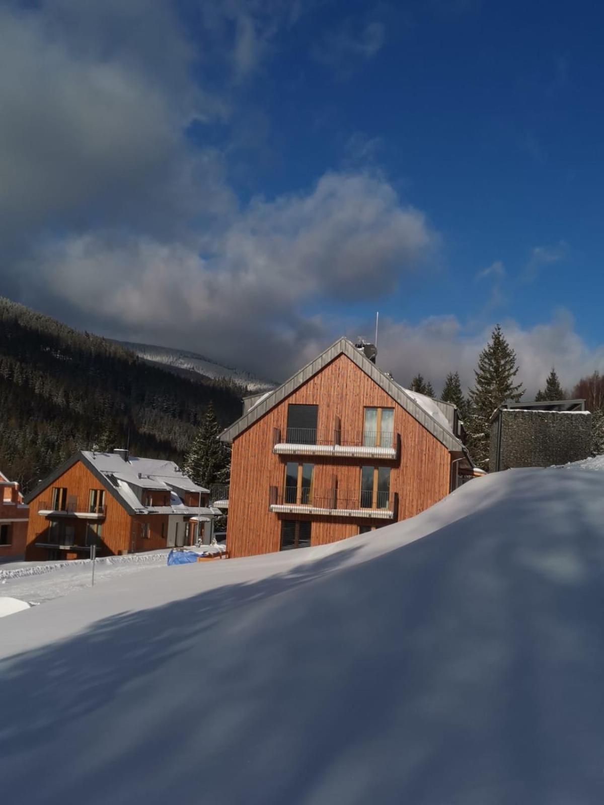 Apartmán Pod sjezdovkami