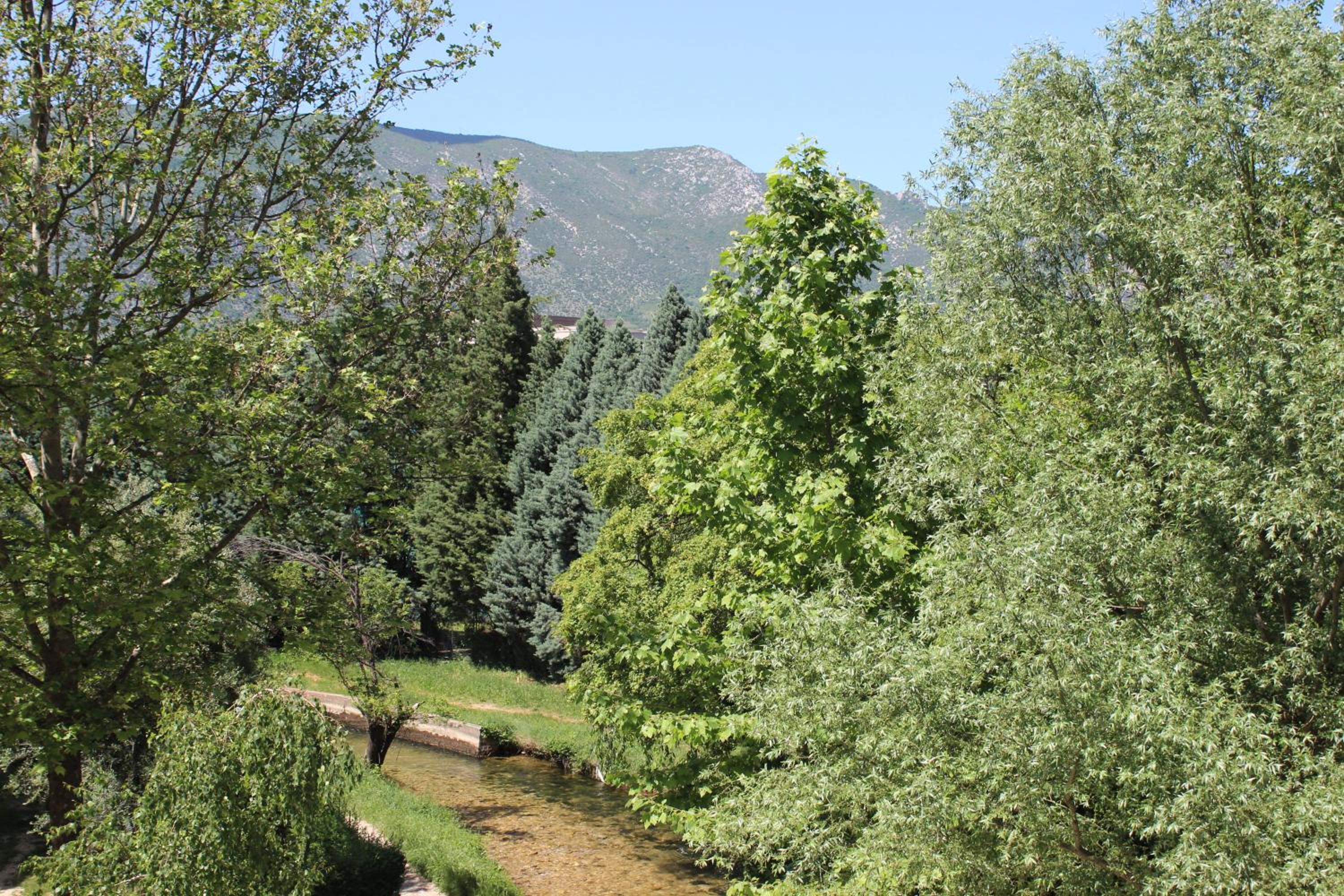 Photo 13