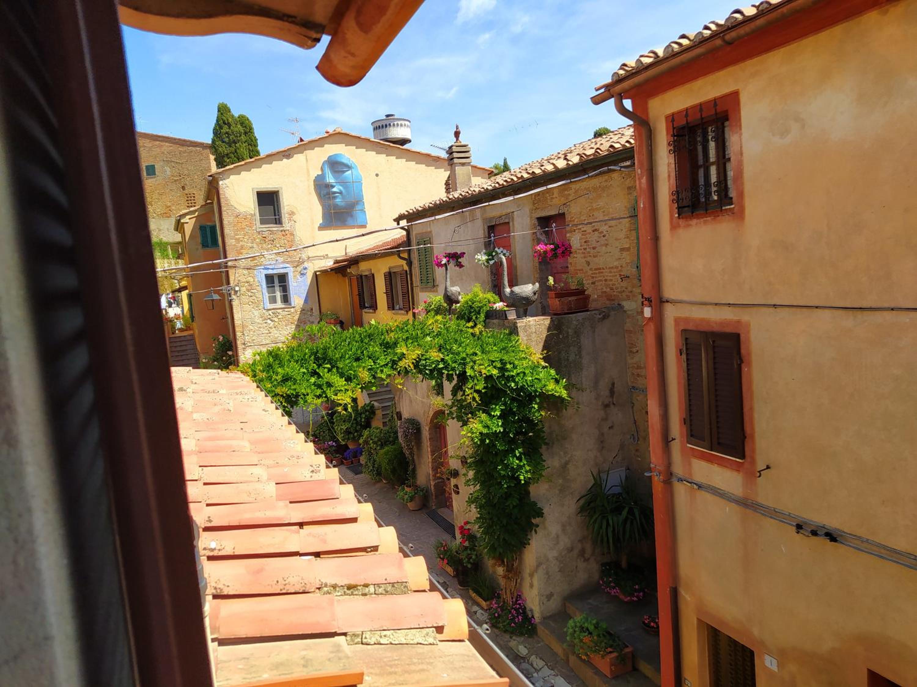 La Bella di Lajatico view 5
