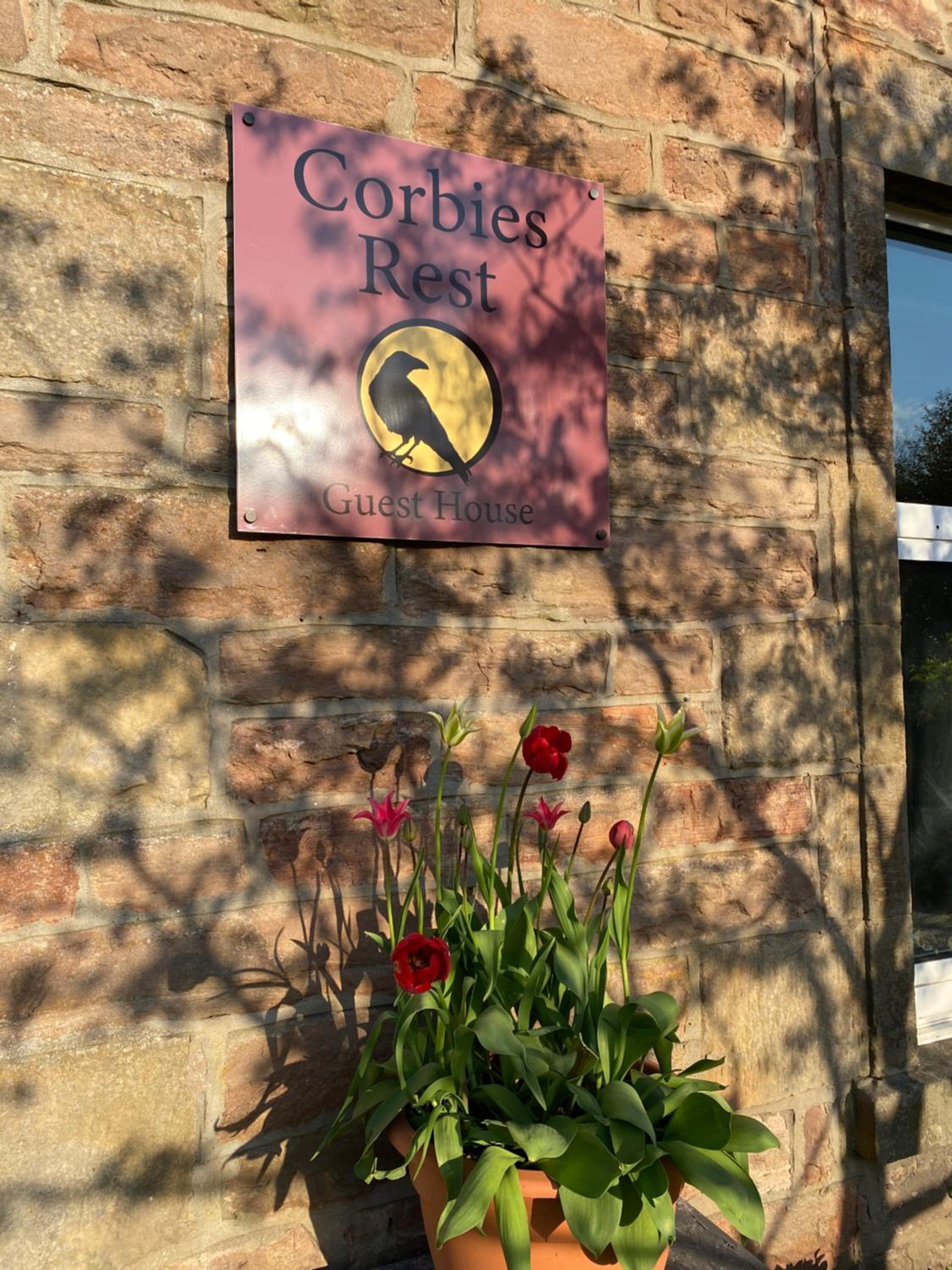 Room Only Corbies Rest