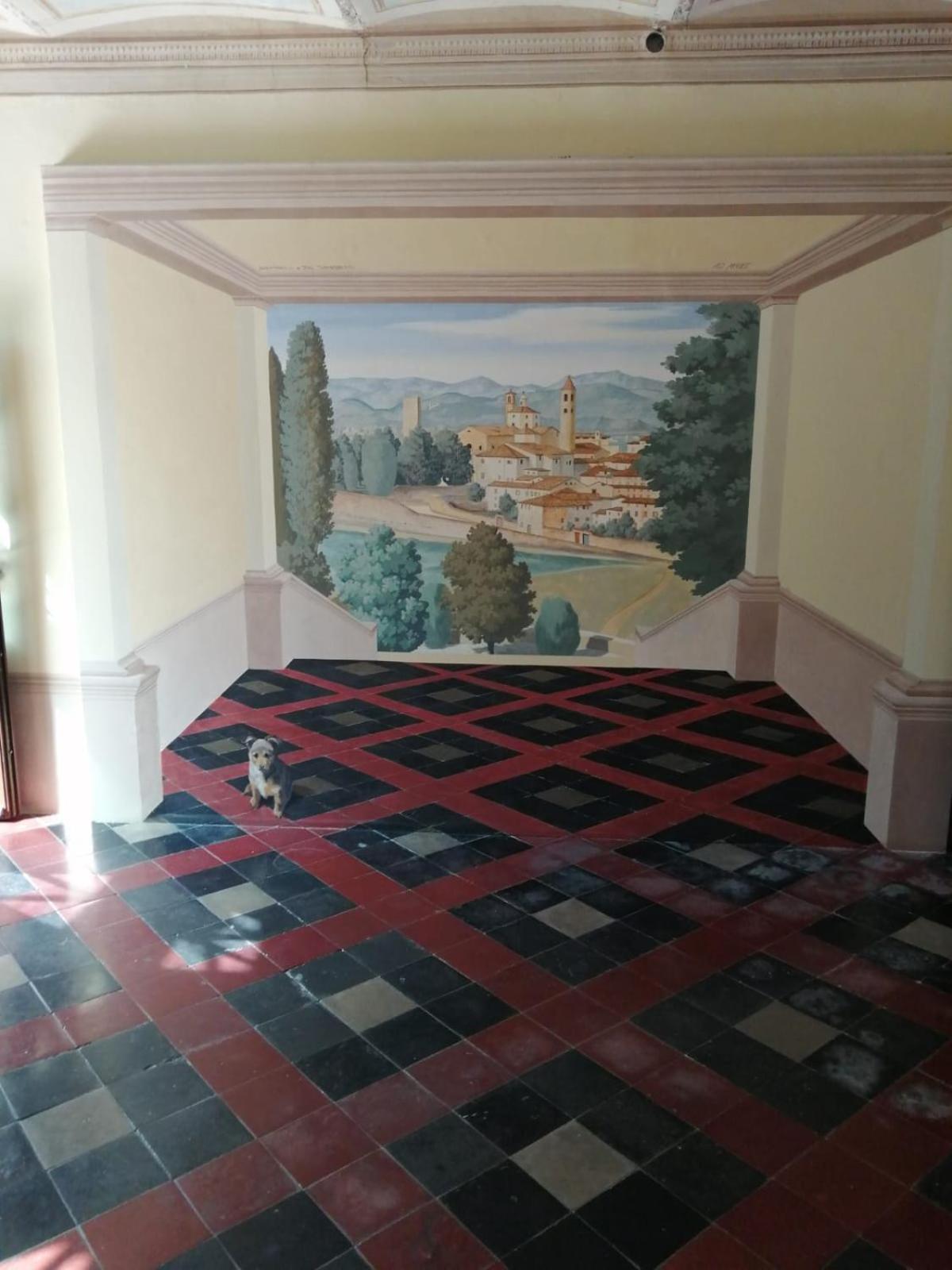 Photo 19
