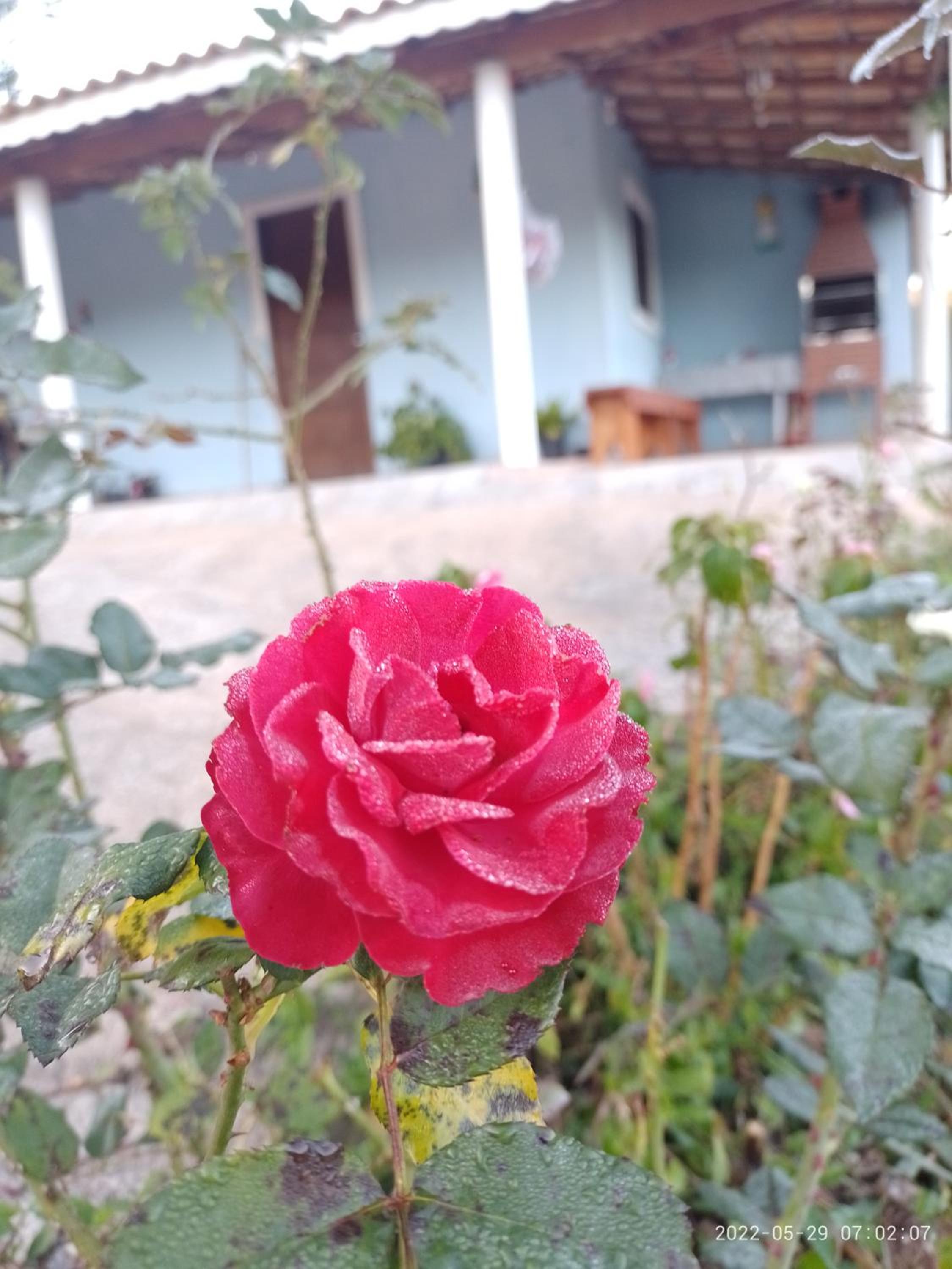 other