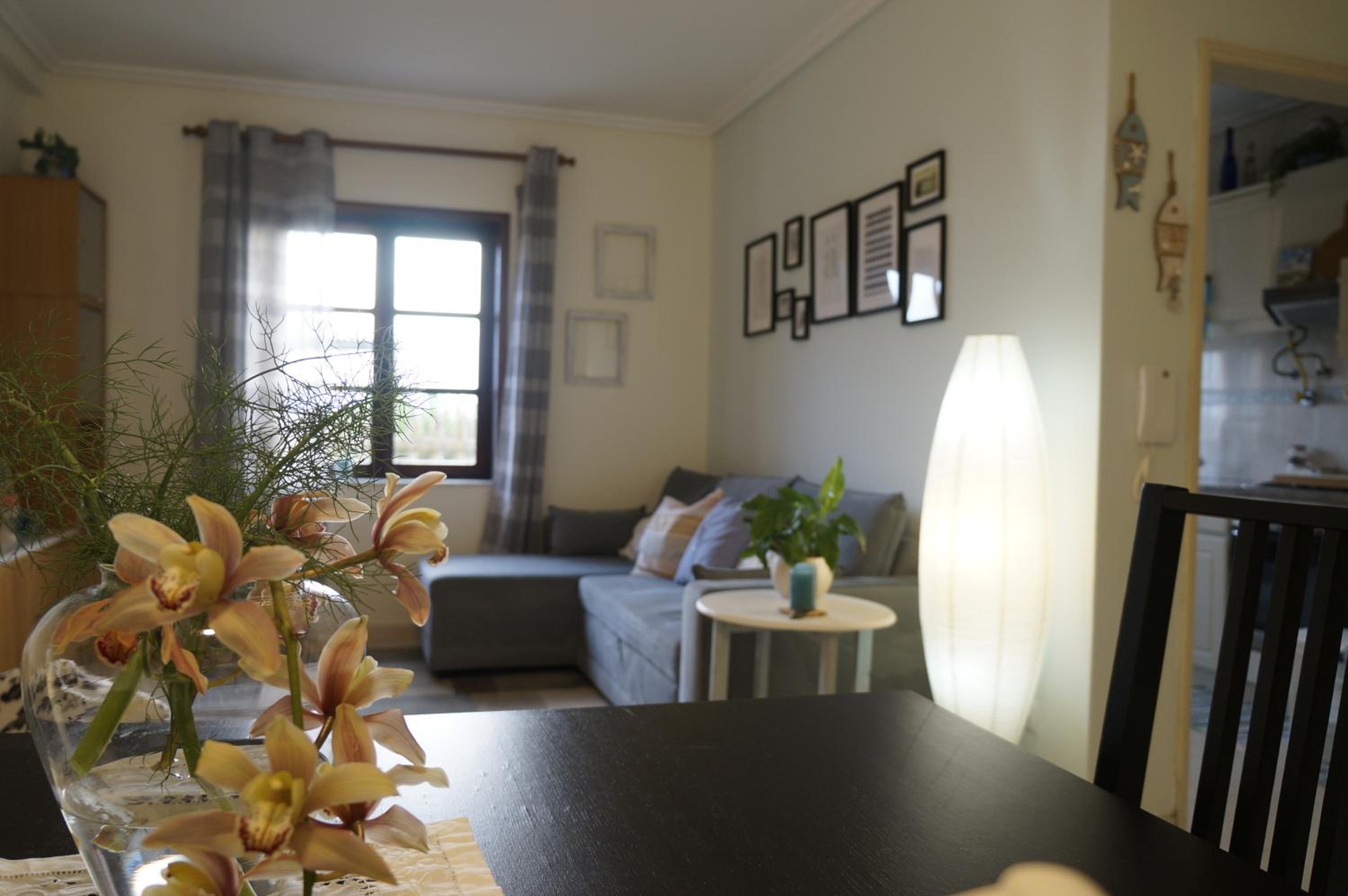 Beach Front Apartment view 2