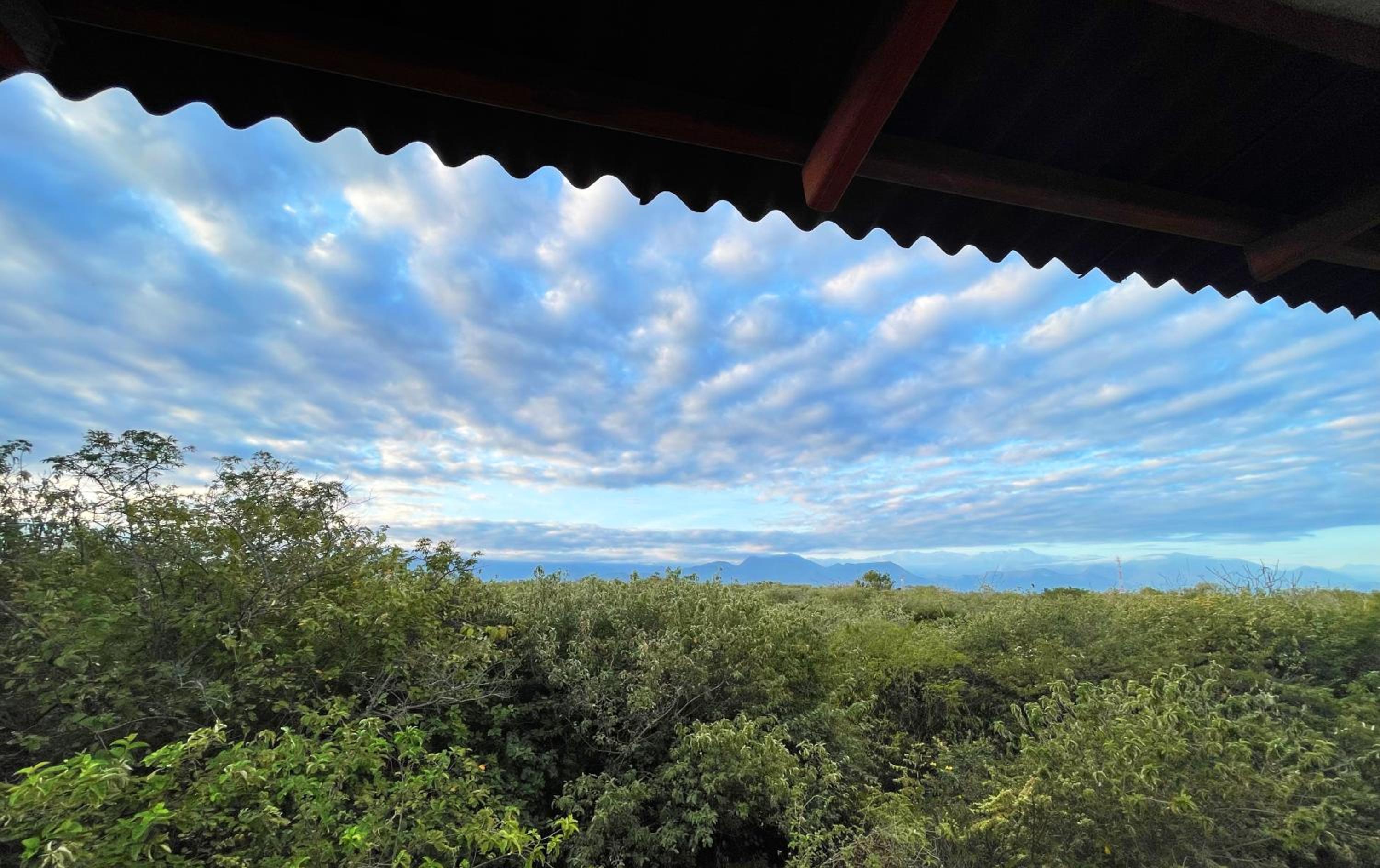 other