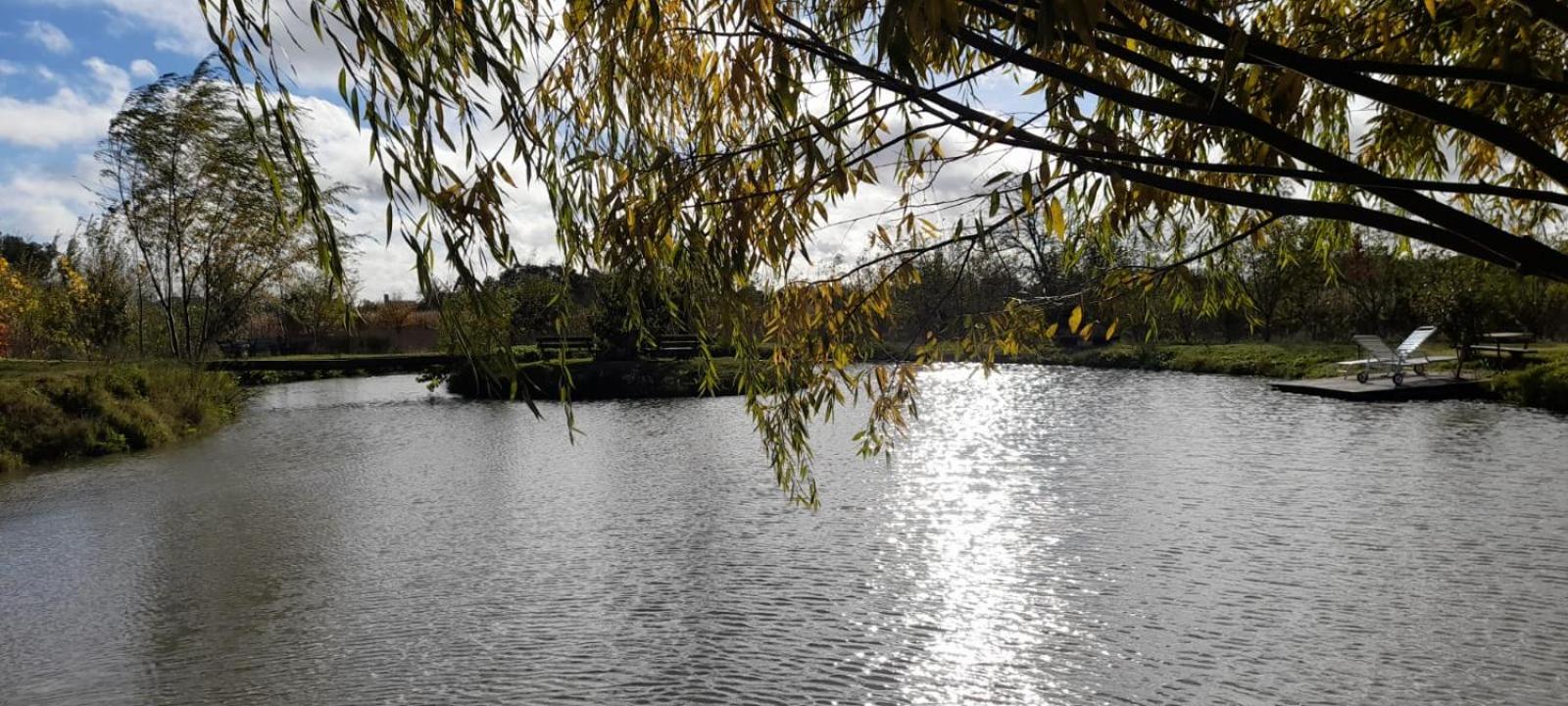 Los furgones de Areco