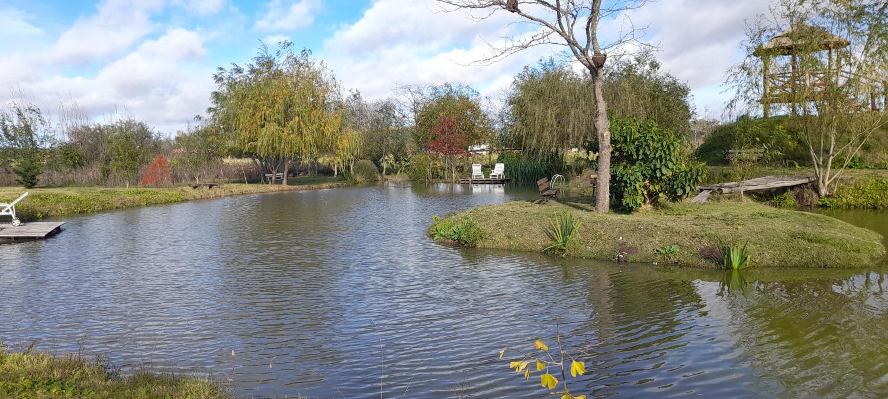 Los furgones de Areco
