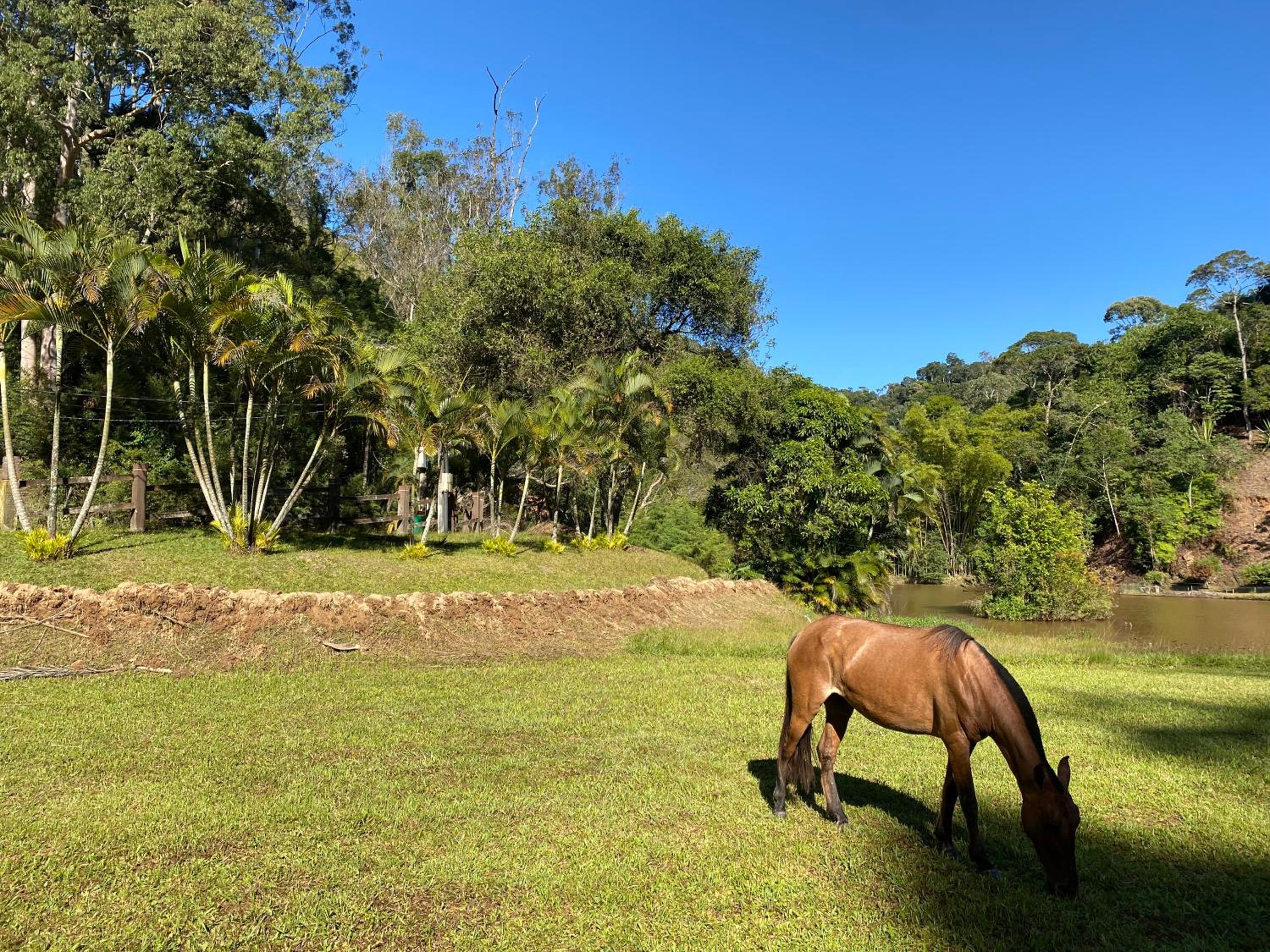 Hotel Fazenda Bonanza