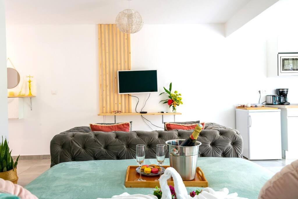 Grand studio avec Jardin, Wifi et parking privé view 3