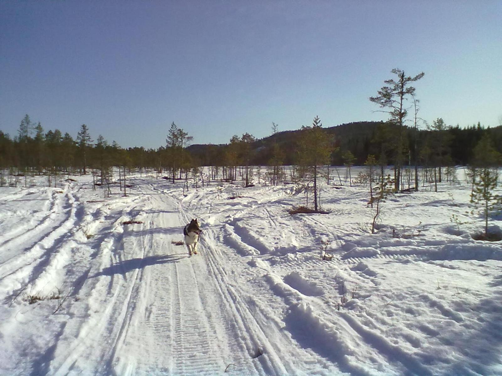 Photo 33