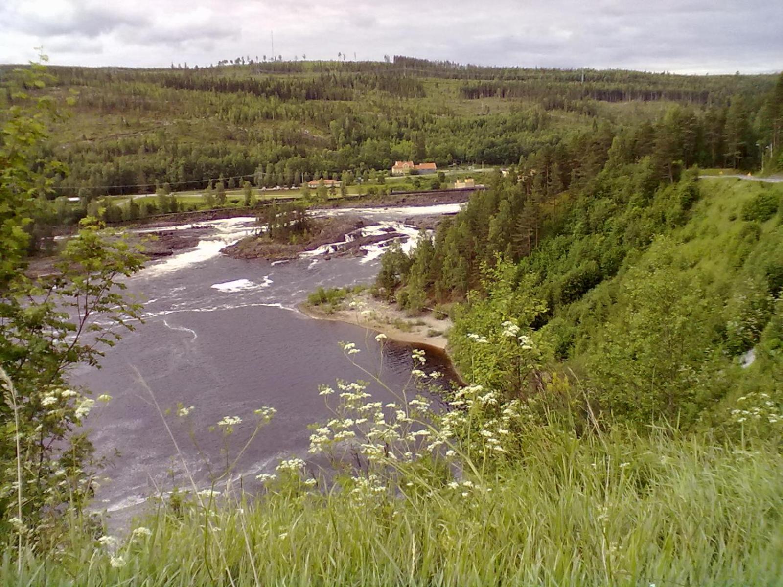 Photo 32