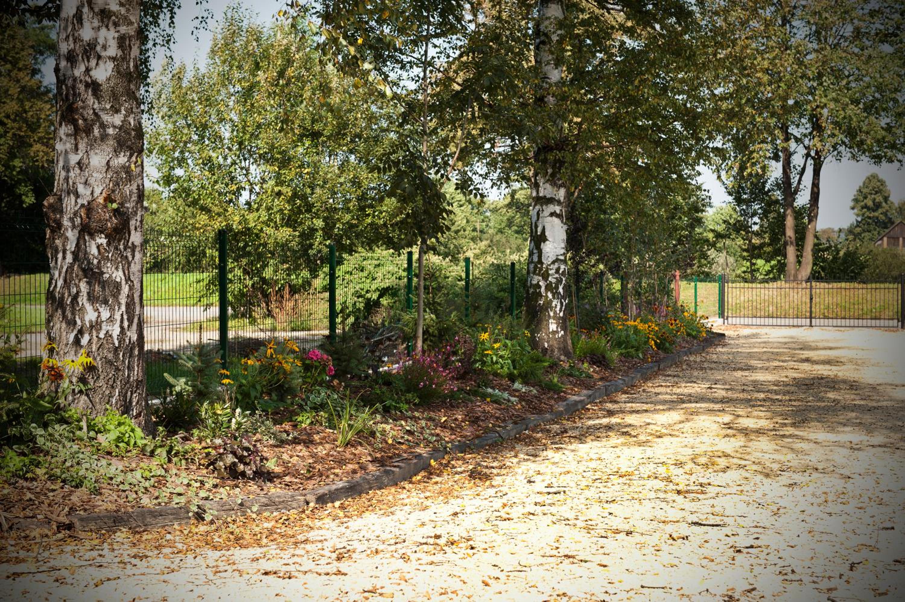 Photo 7