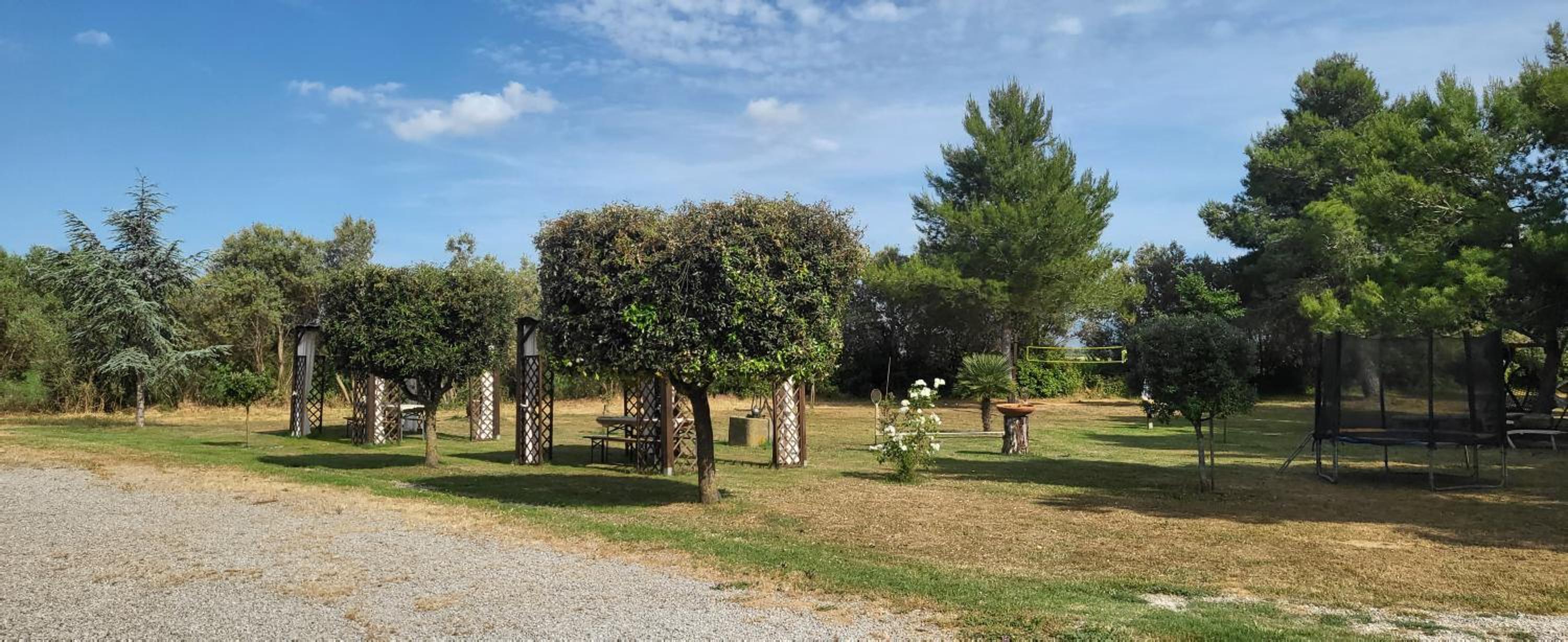 Il Boschetto view 3