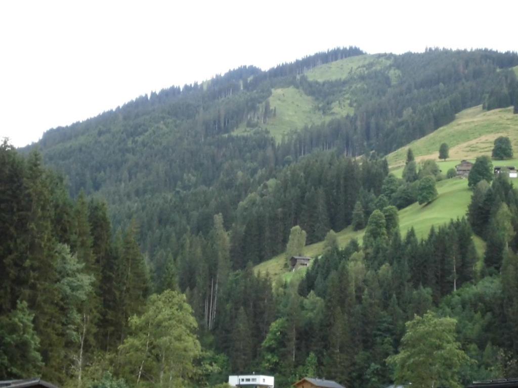 Photo 26