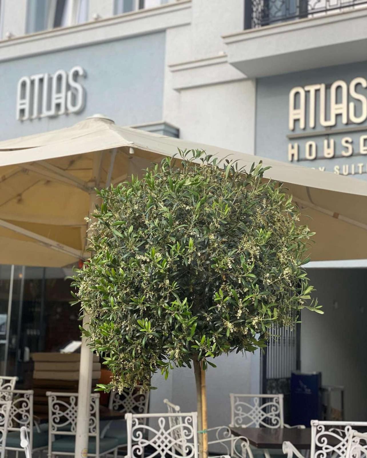 ATLAS HOUSE Luxury Suites