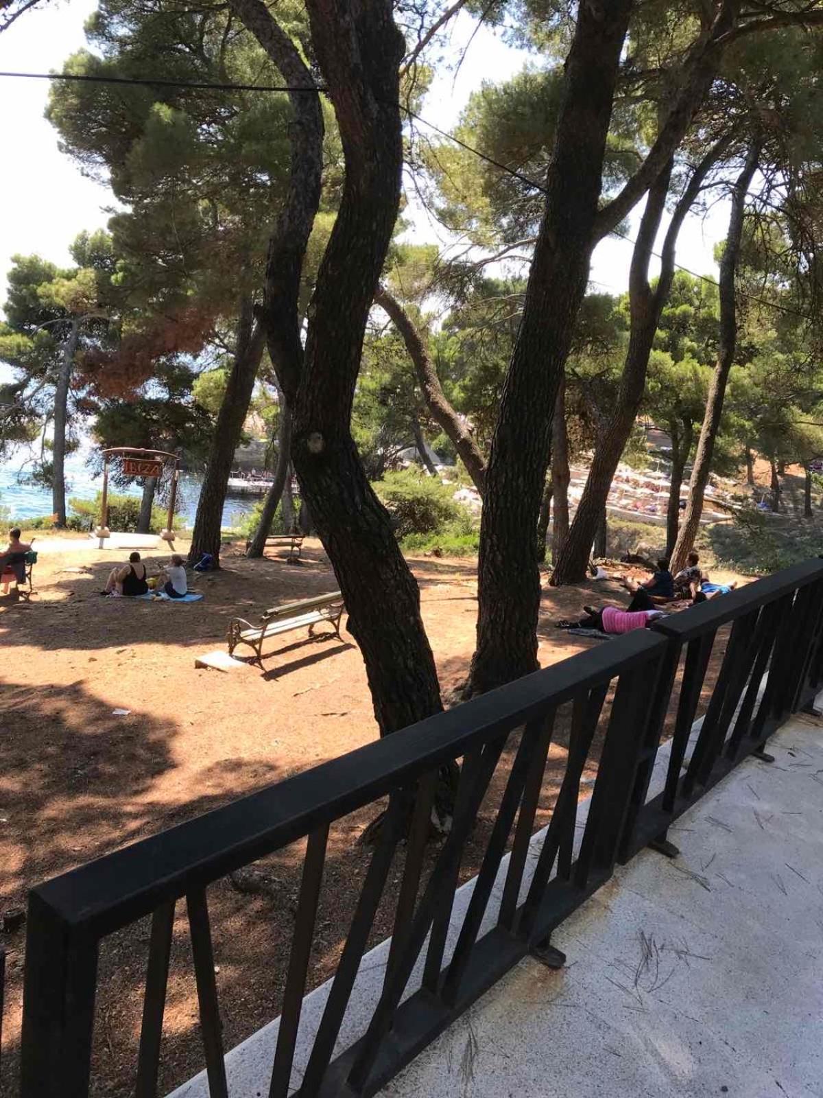 Apartman A1