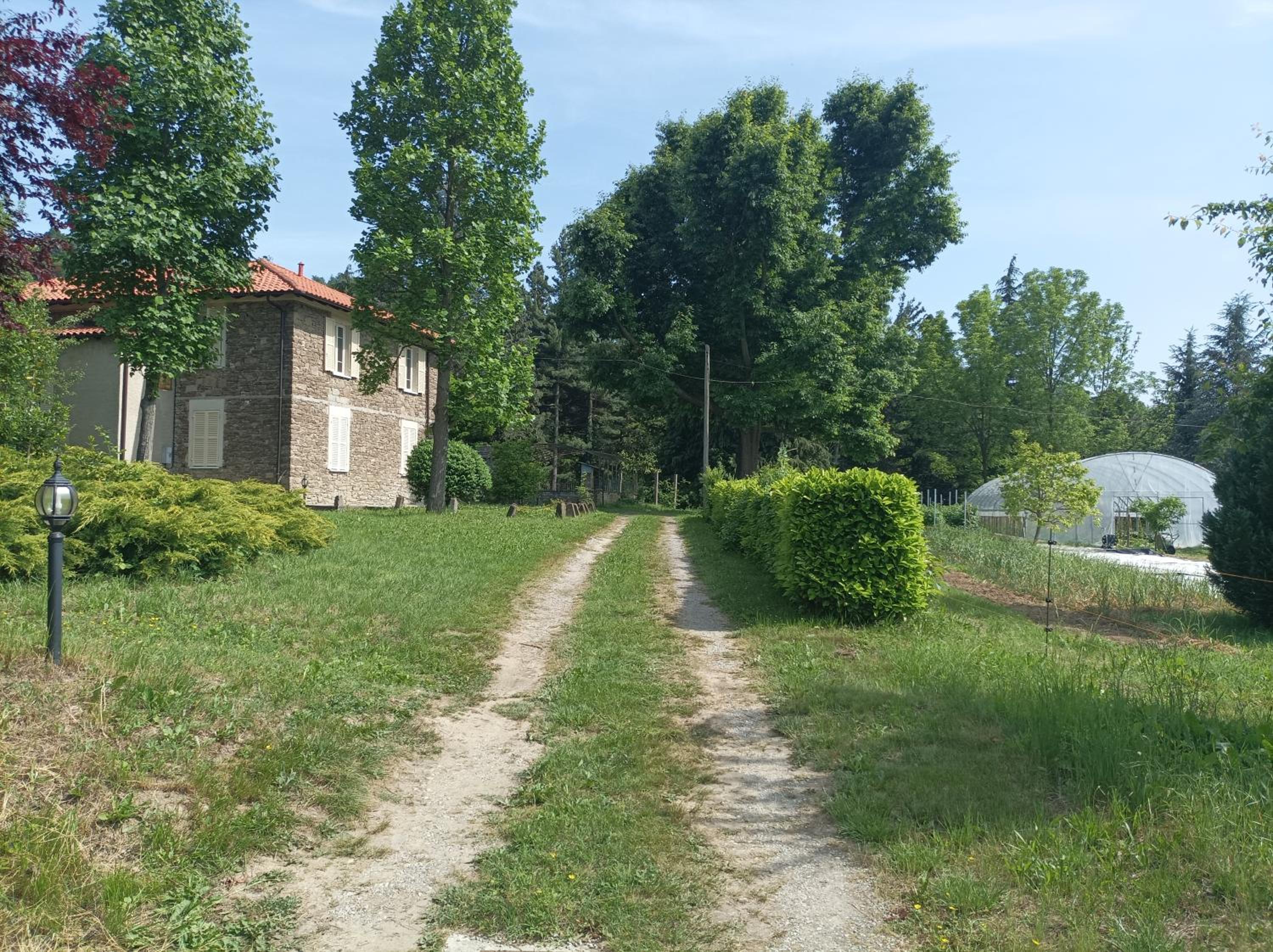 Photo 32