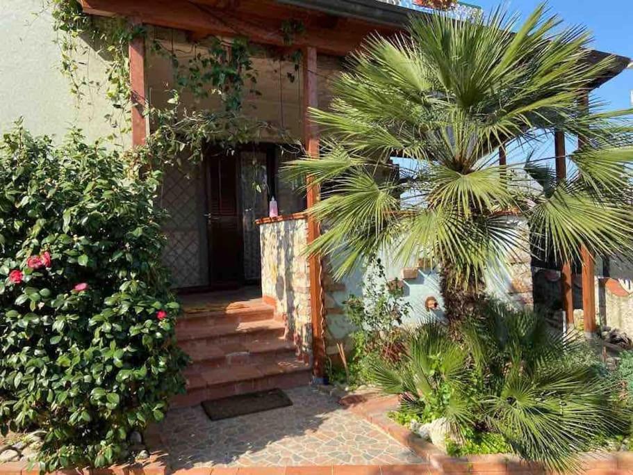 Casa Nonna Bianca- appartamento pratico a pochi minuti da Napoli