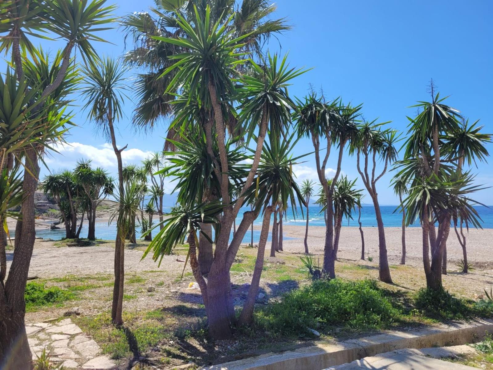 Apartament Paradise