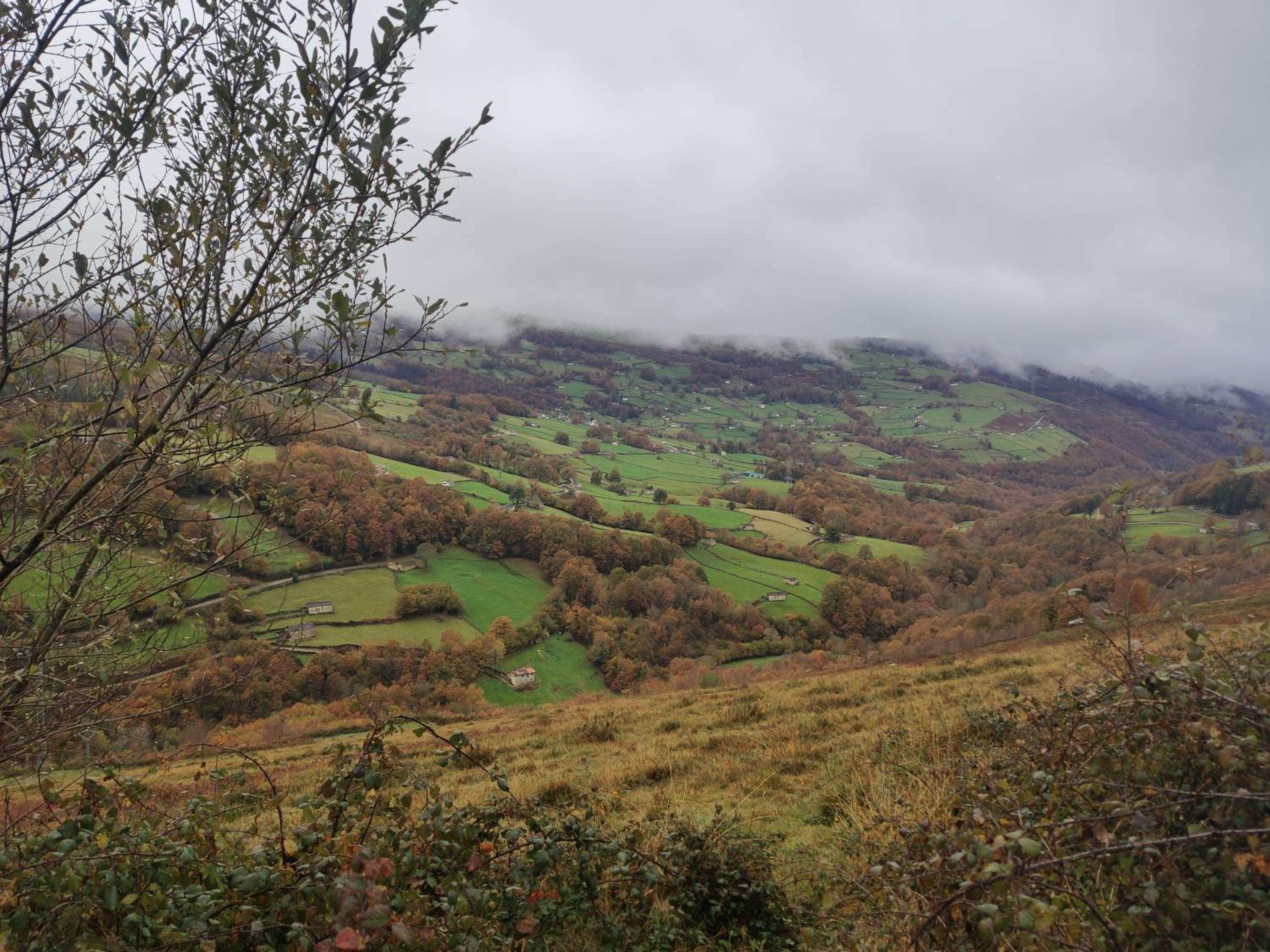 Cabaña Pasiega El Ojal