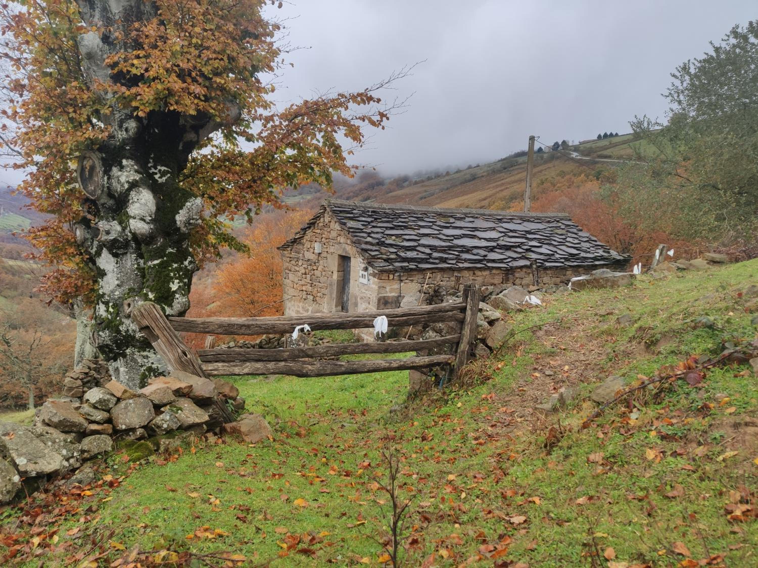 Cabaña Pasiega El Ojal
