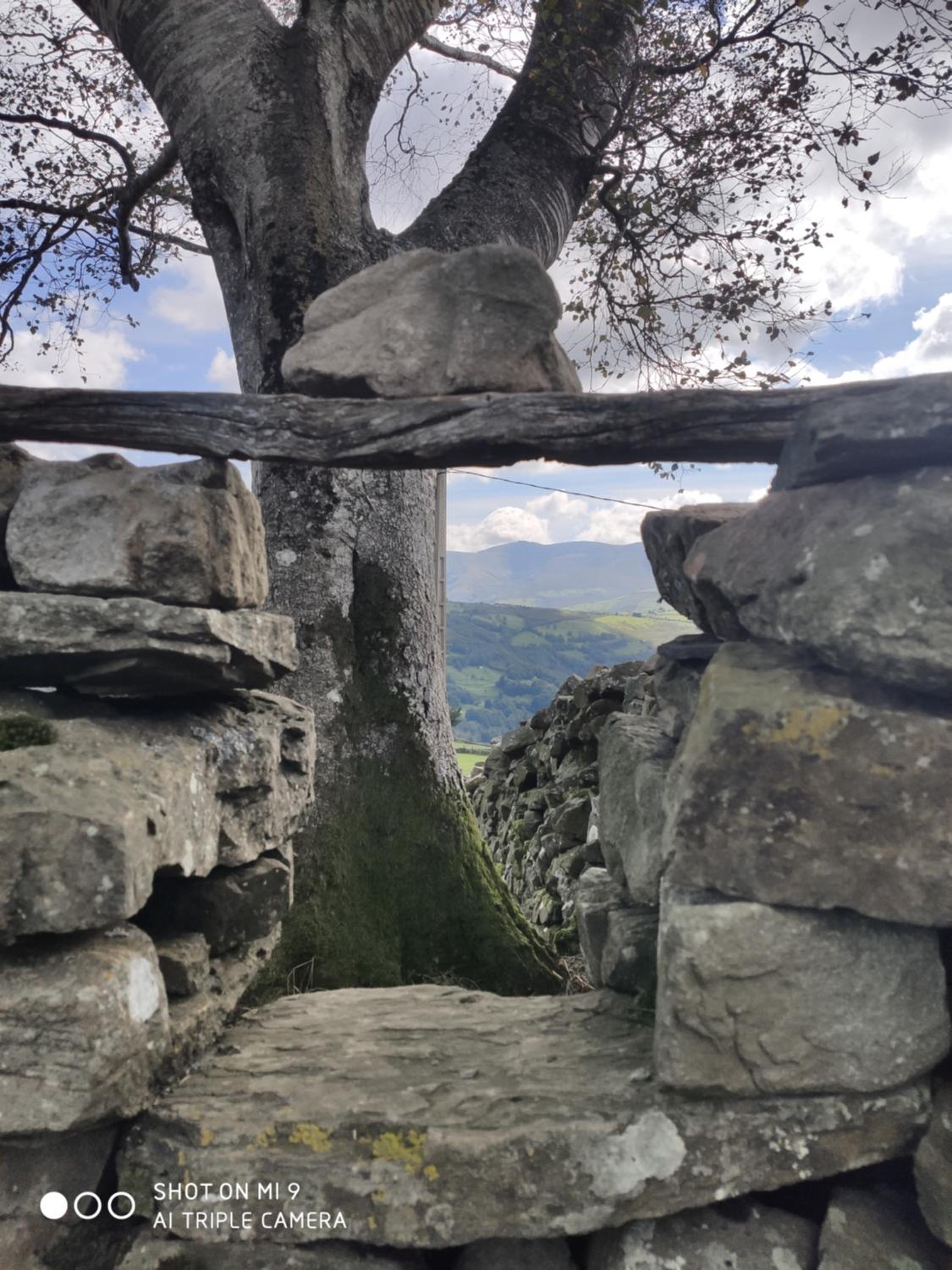 Cabaña Pasiega El Ojal