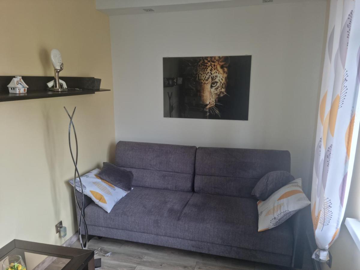 Apartament Baszta Kaszana