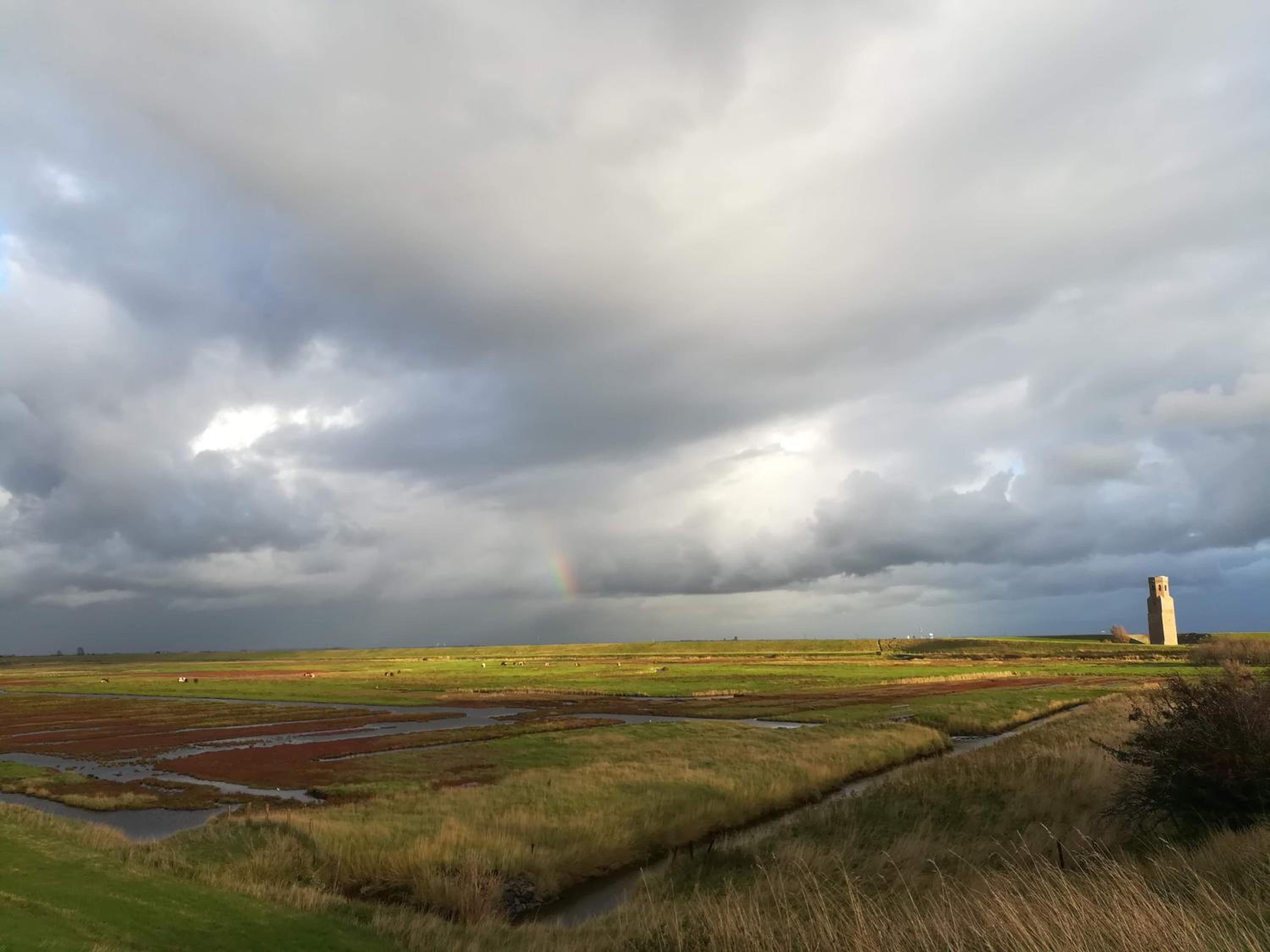 in de Boomgaard en Burgh Haamstede — other