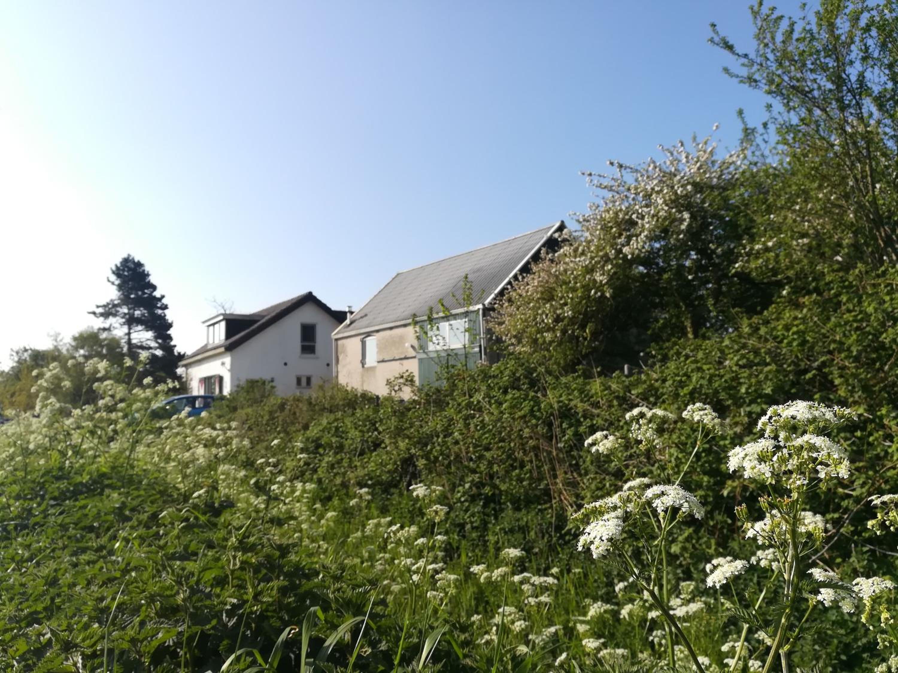in de Boomgaard en Burgh Haamstede — other