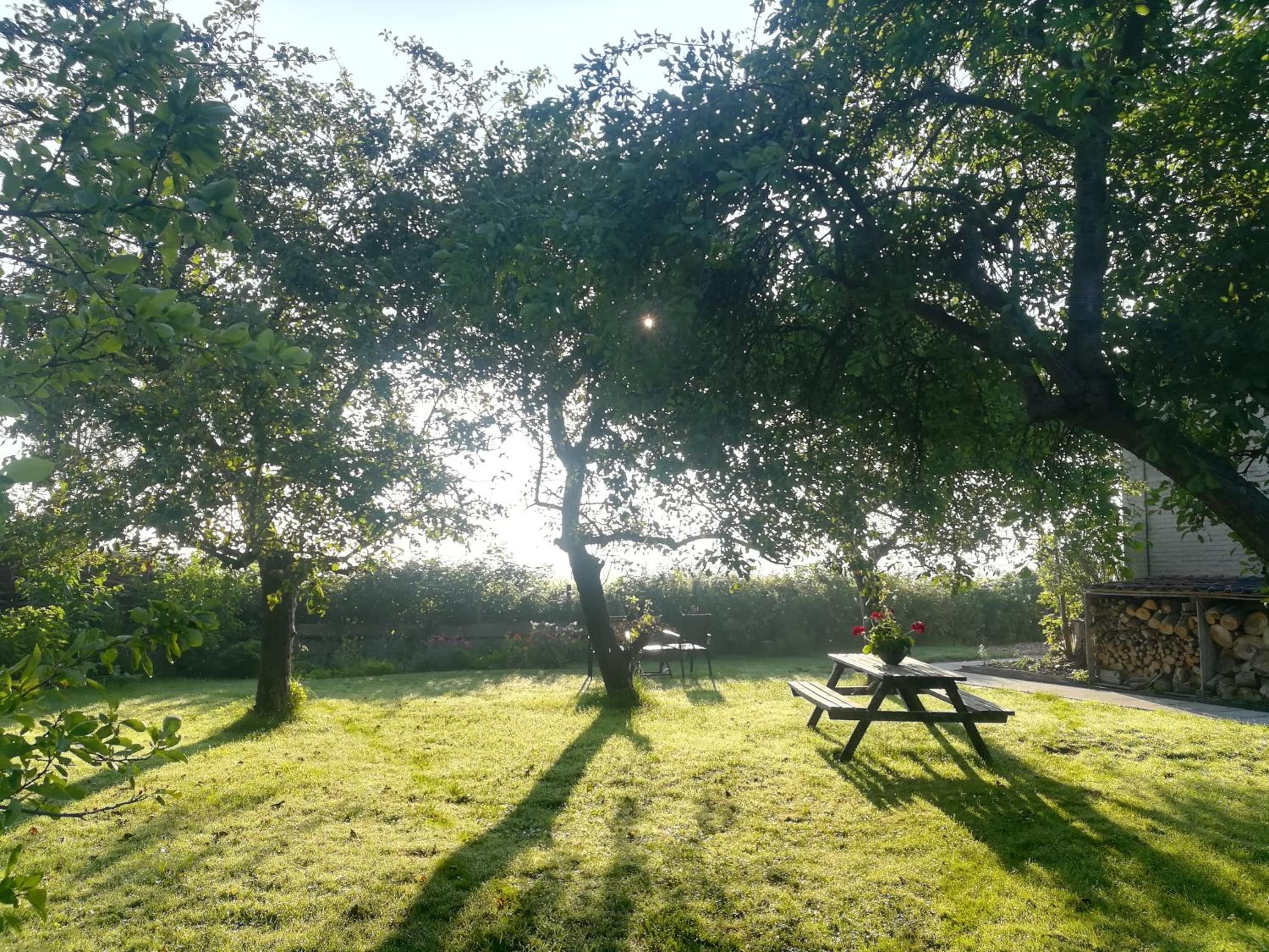 in de Boomgaard en Burgh Haamstede — other