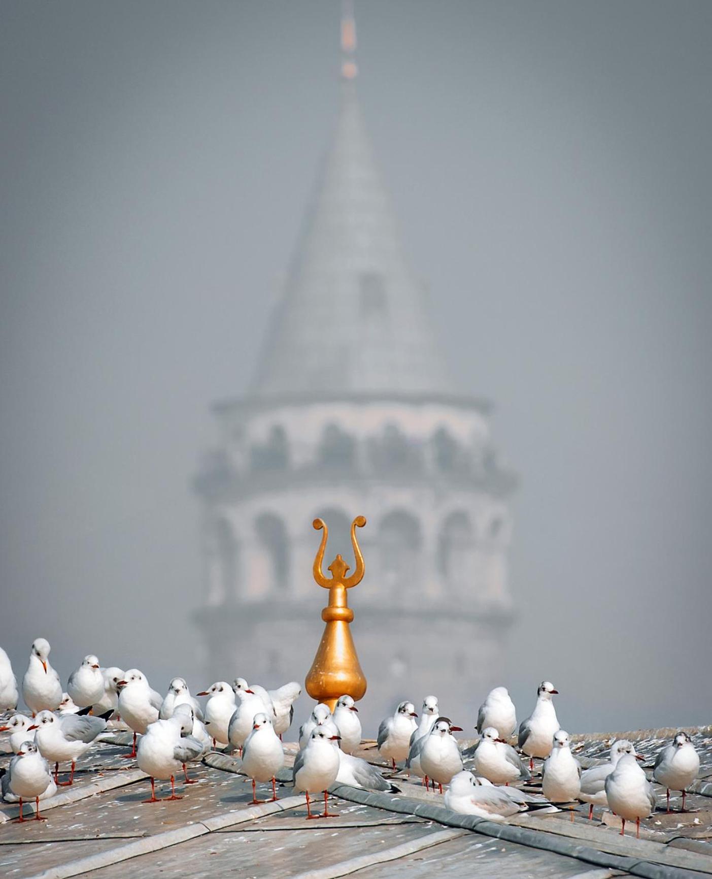 Duru İstanbul Apart - Image 9