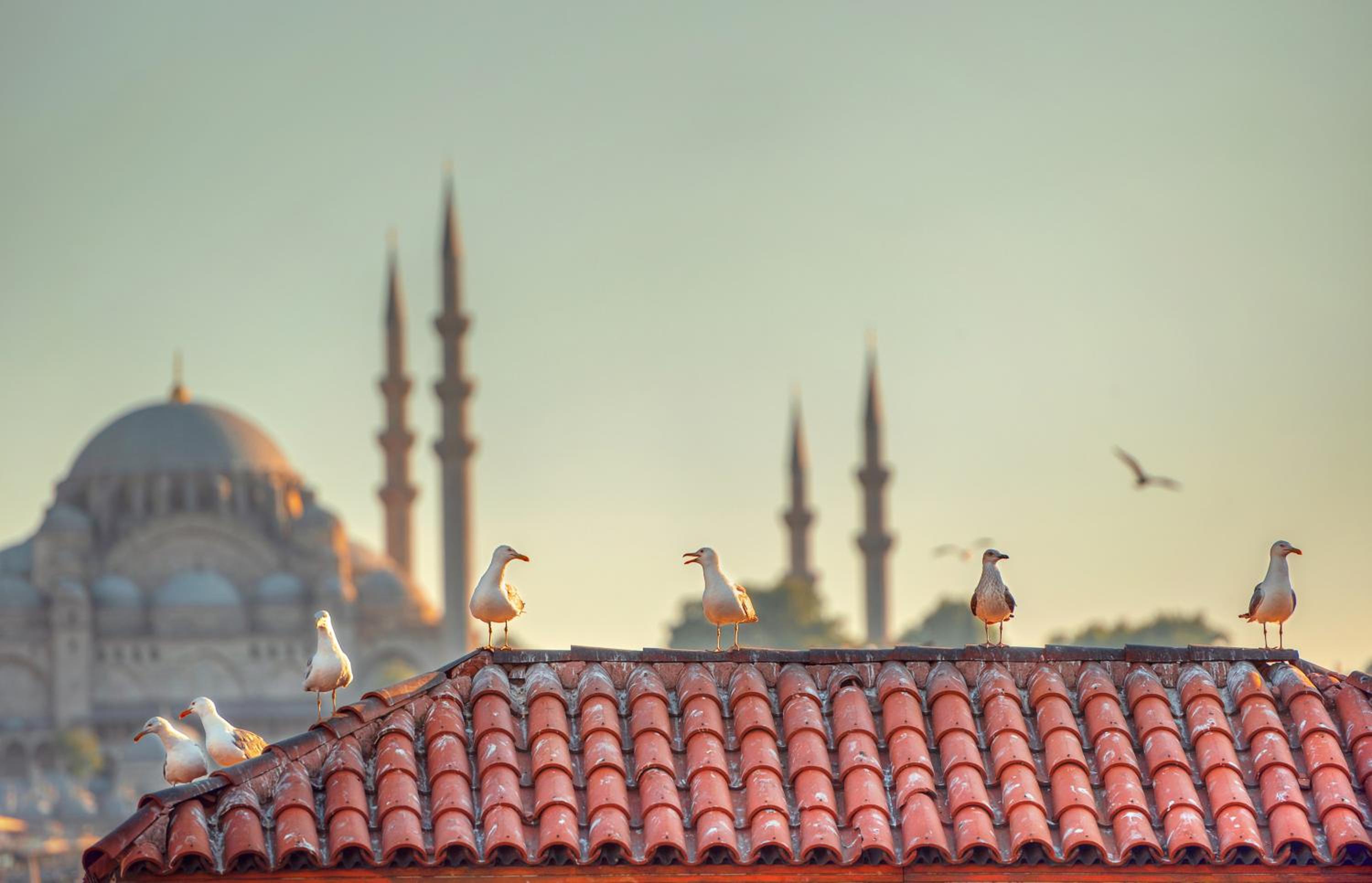 Duru İstanbul Apart - Image 5