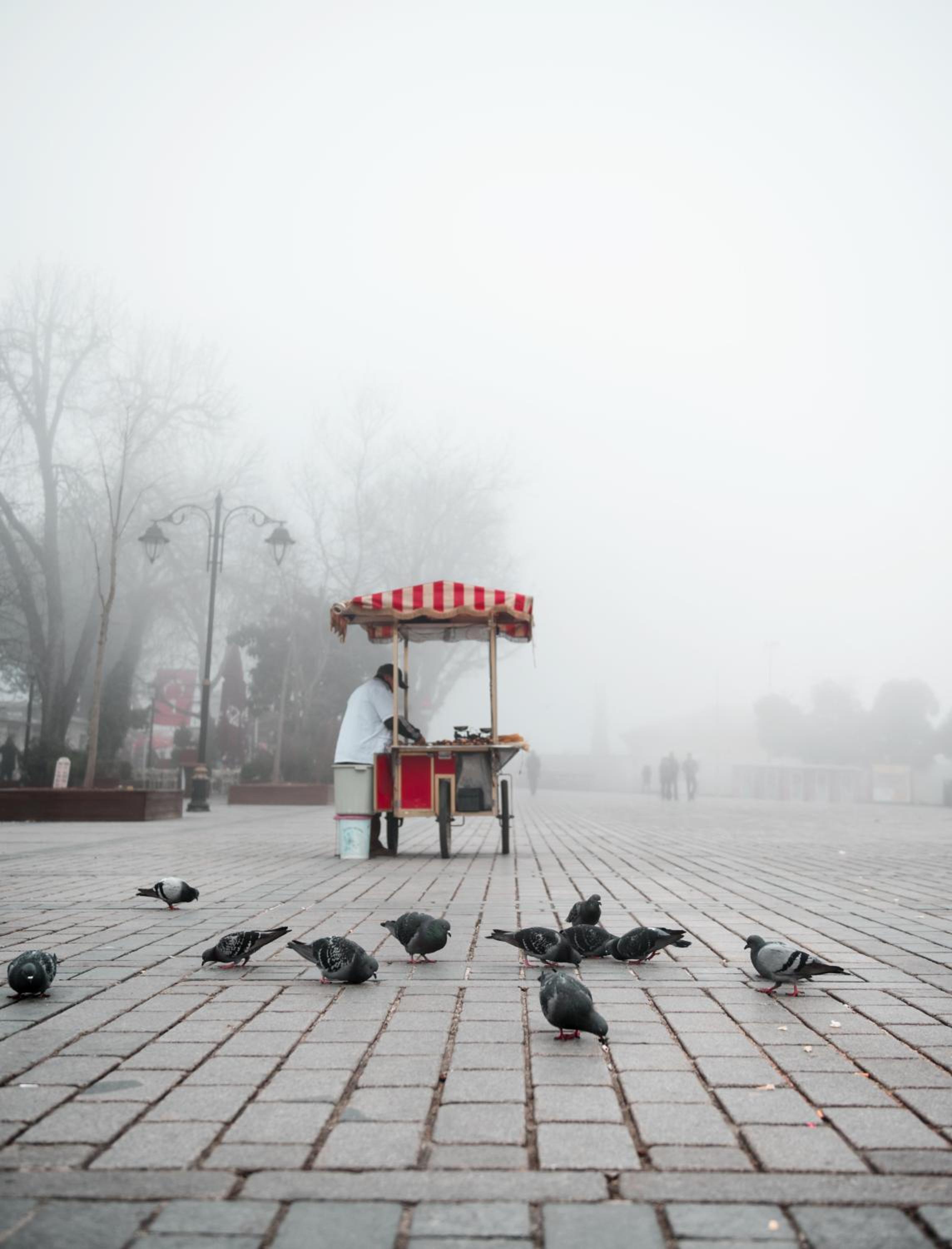 Duru İstanbul Apart - Image 7