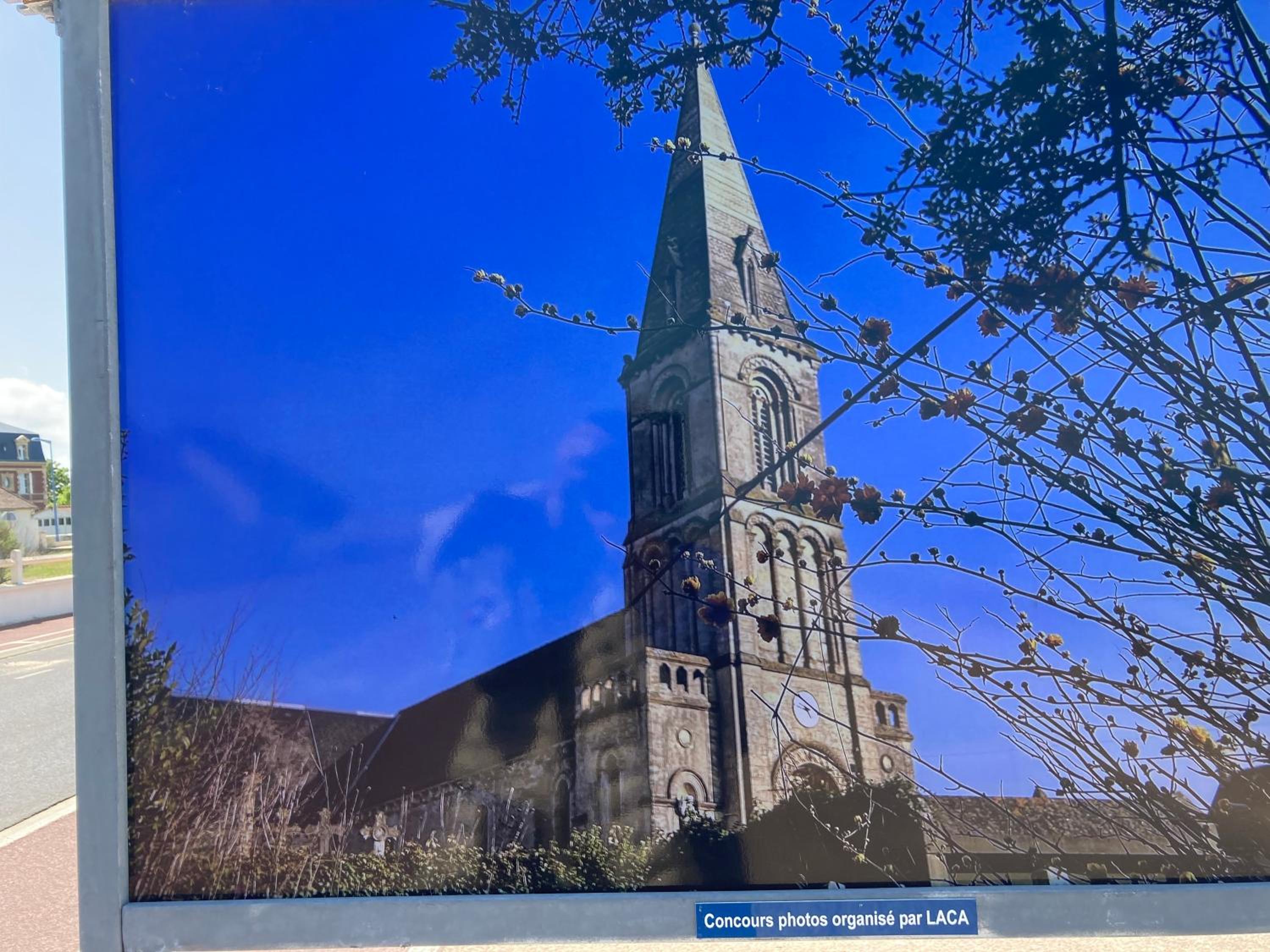 Photo 22