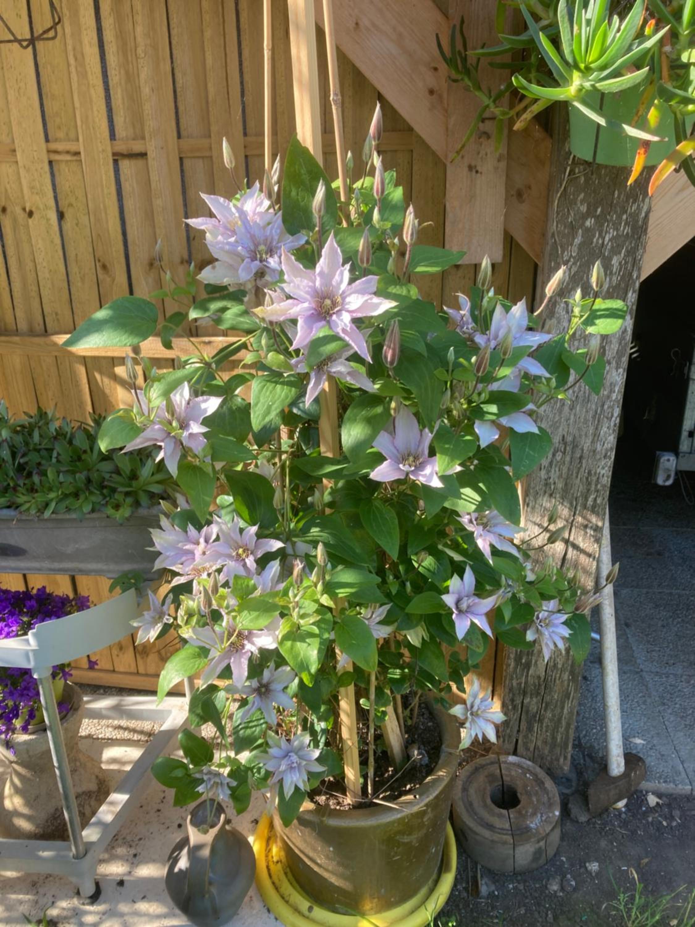 Photo 31