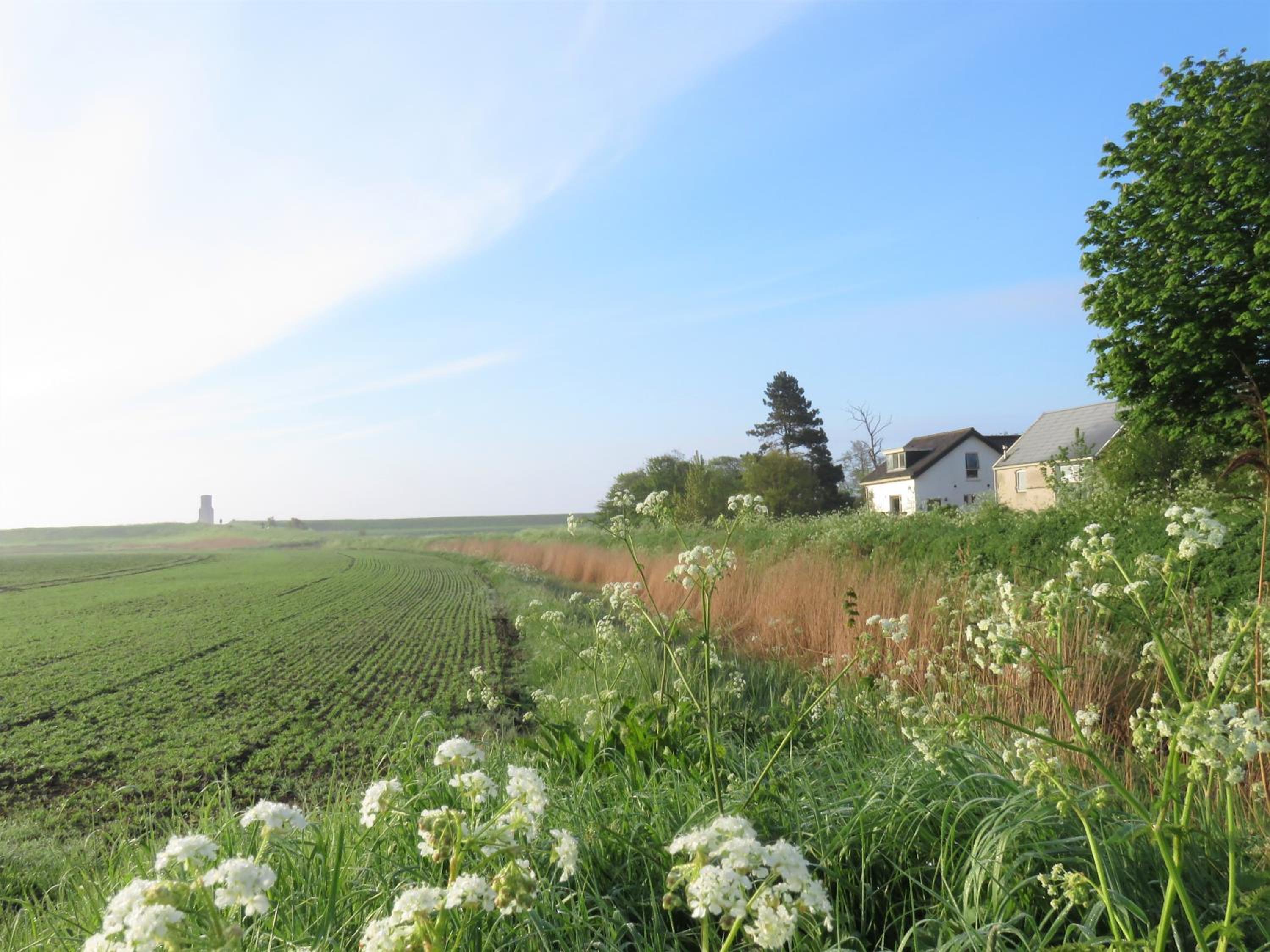 in de Boomgaard en Burgh Haamstede — other