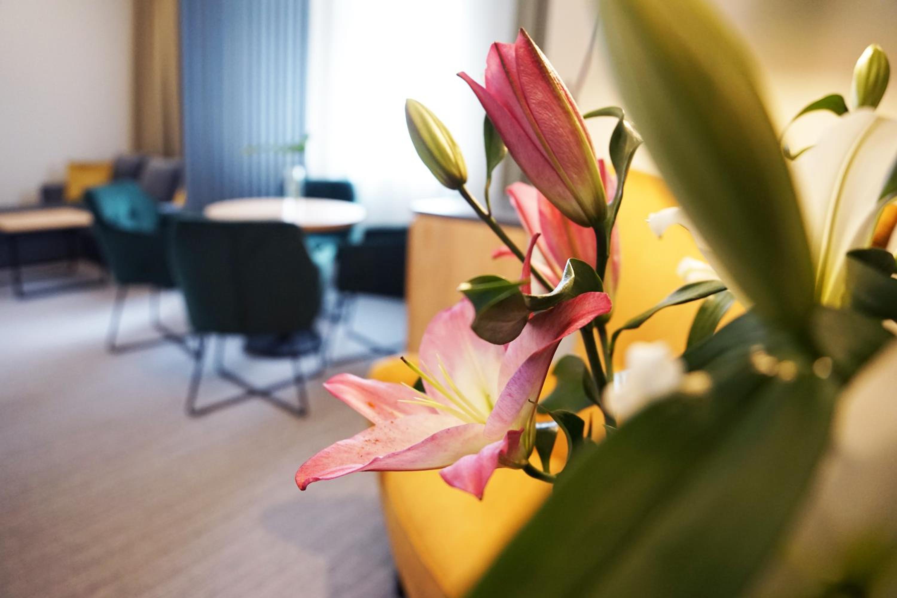 FACTORY RESORT wellness & spa