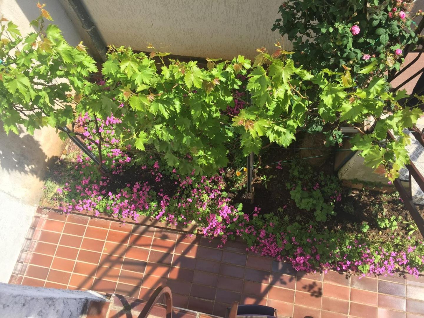 Apartments Porec beach area Simo - Property Image 53