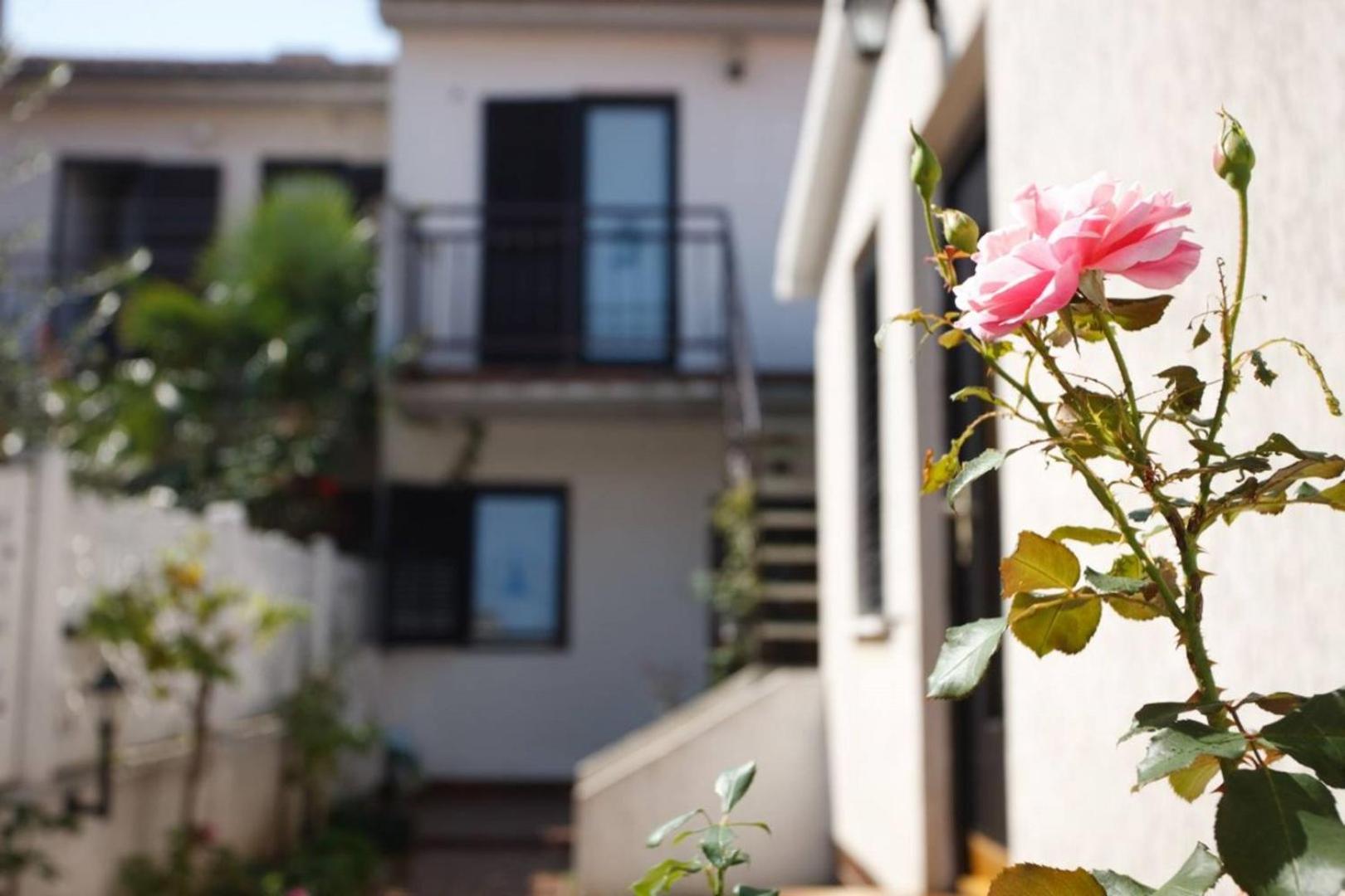 Apartments Porec beach area Simo - Property Image 49