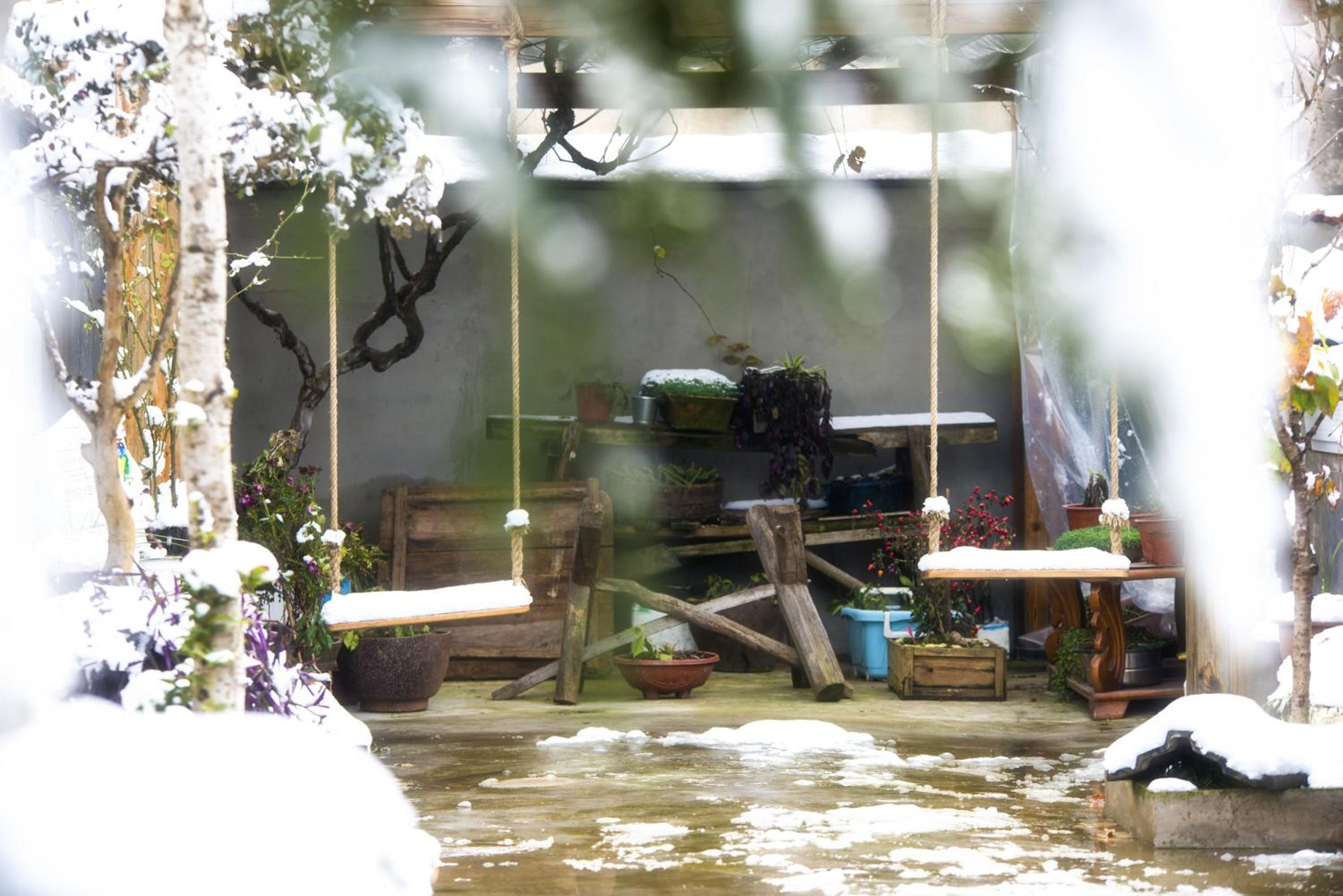桐庐舍予民宿 Tonglu Sheyu Country House