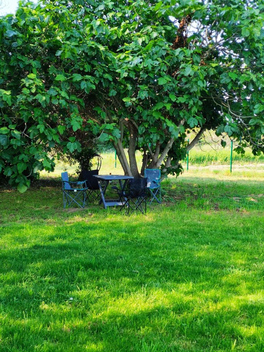 Photo 40
