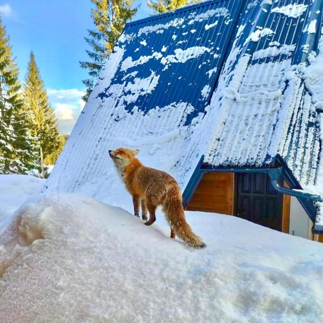 Gorske Vile Jahorina