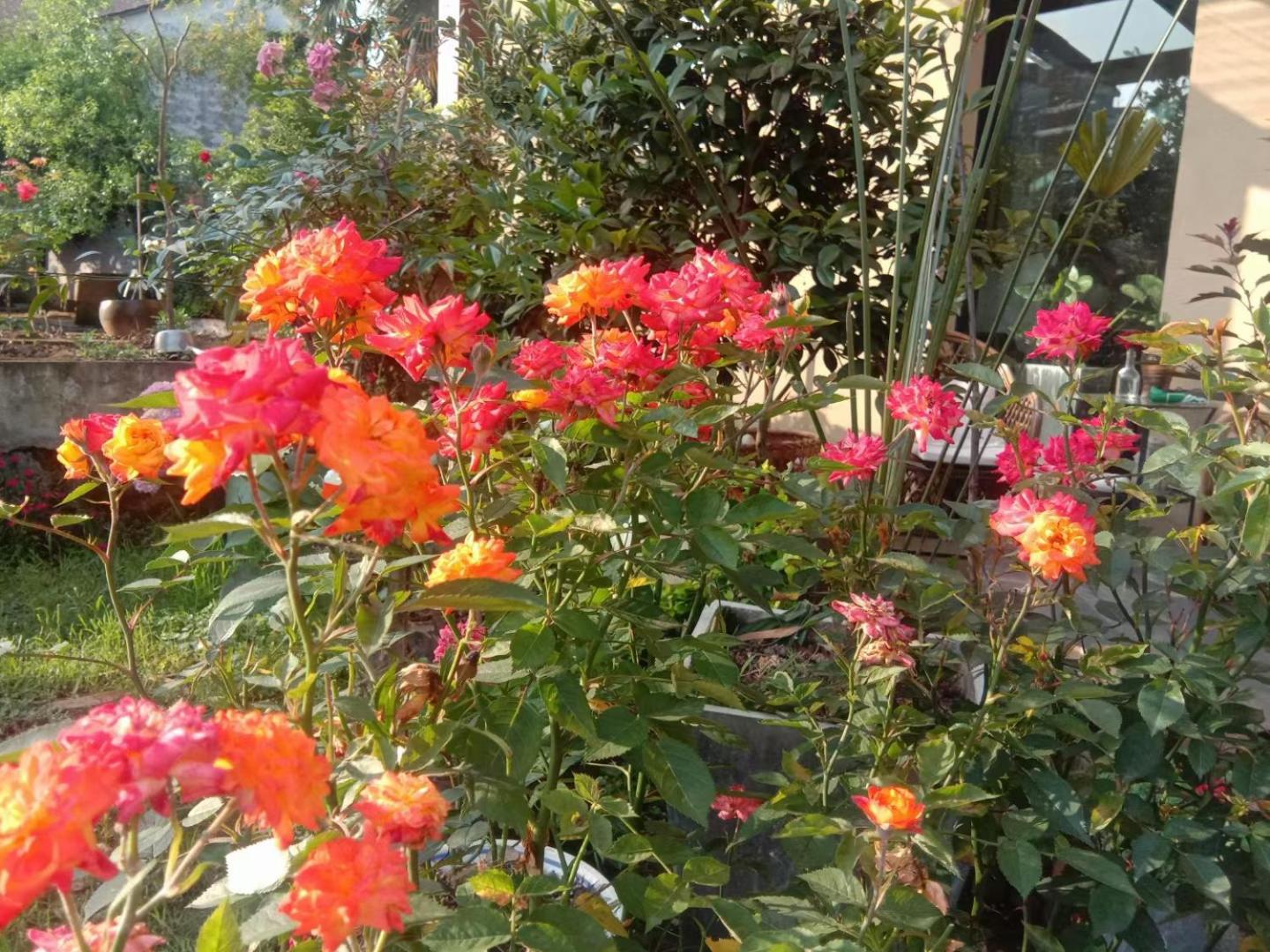桐庐舍予民宿 Tonglu Sheyu Country House