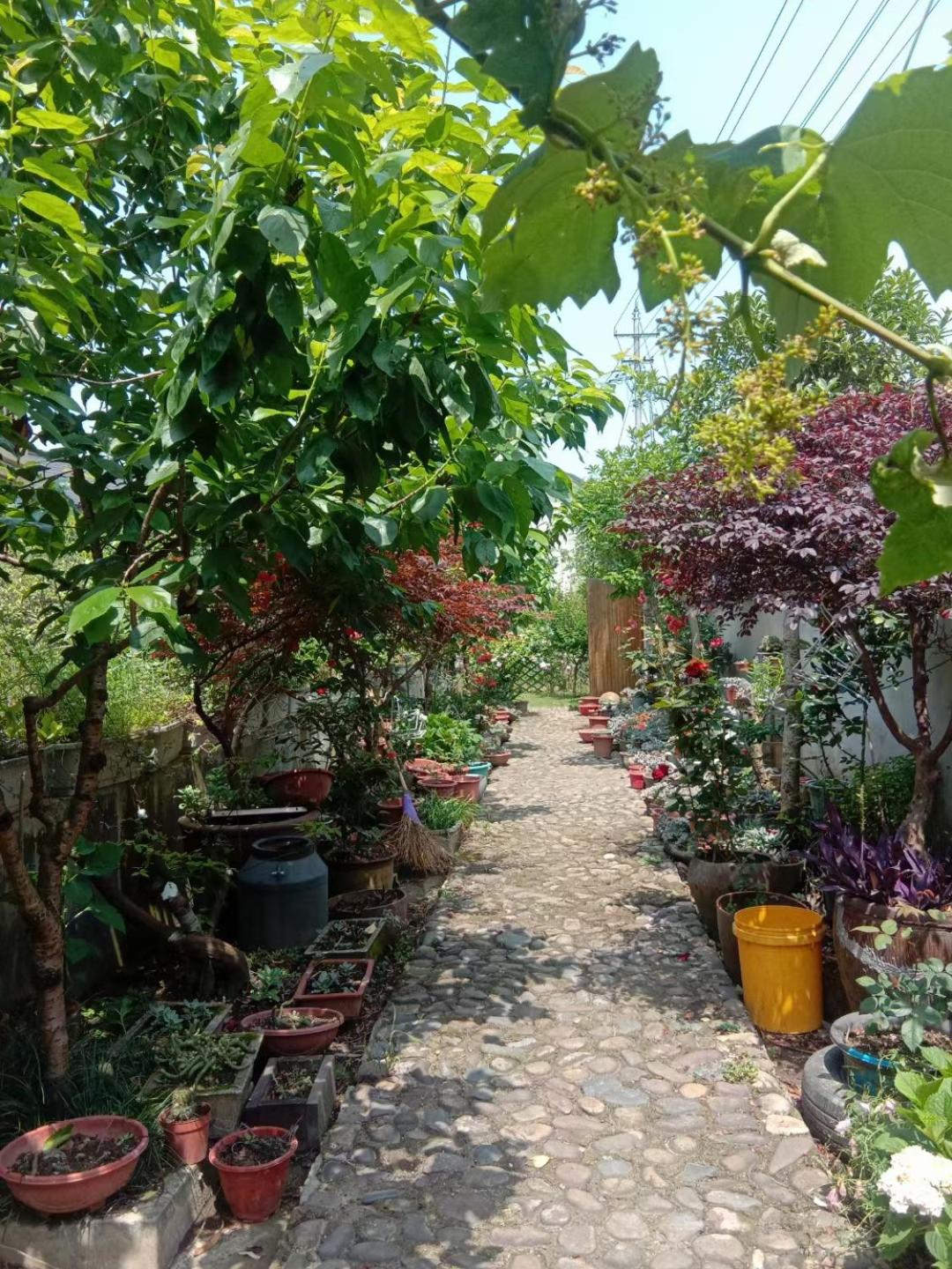 桐庐舍予民宿 Tonglu Sheyu Country House