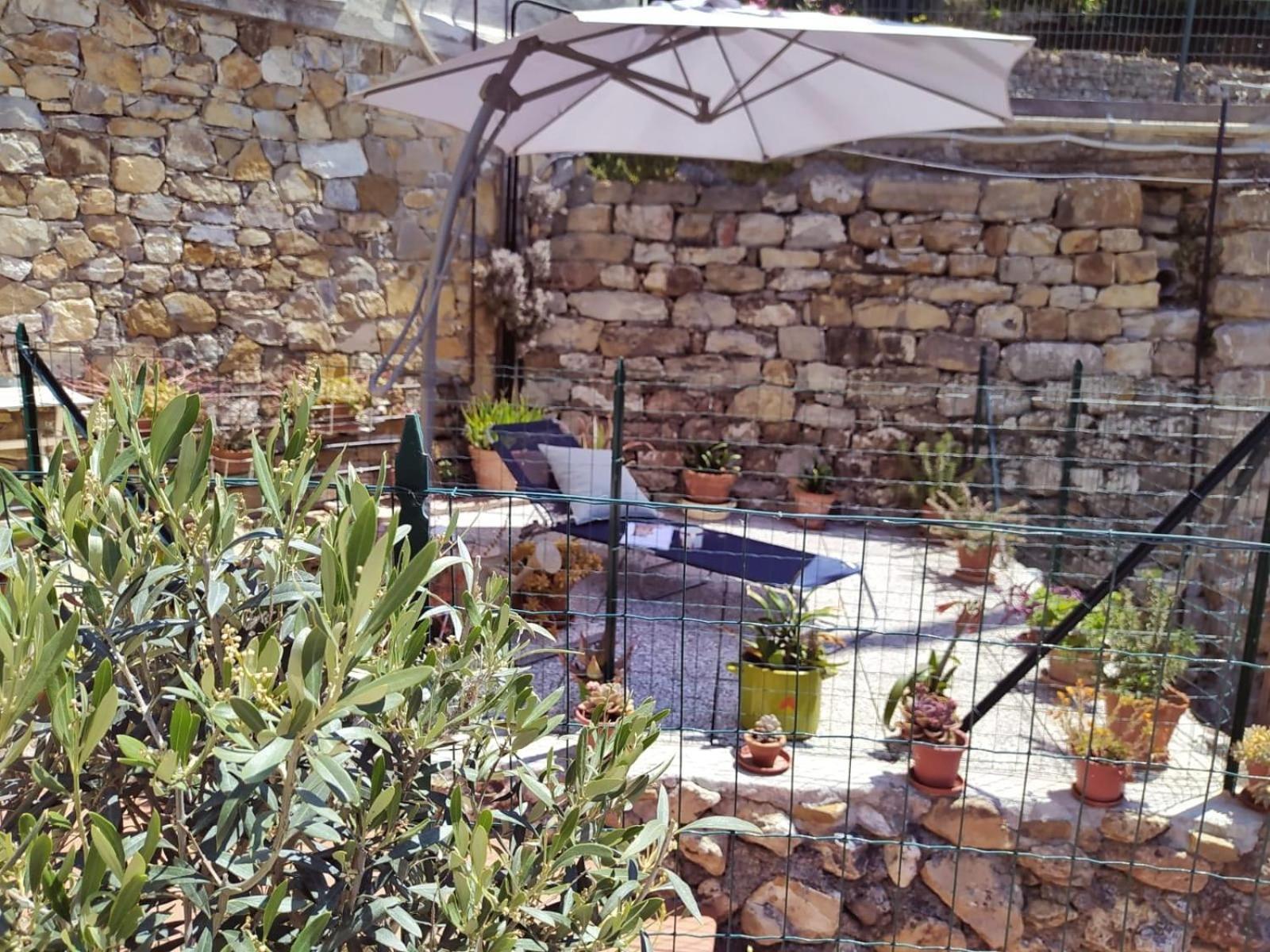 ULIVI - Charming 1 bedroom apartment with garden and parking view 5