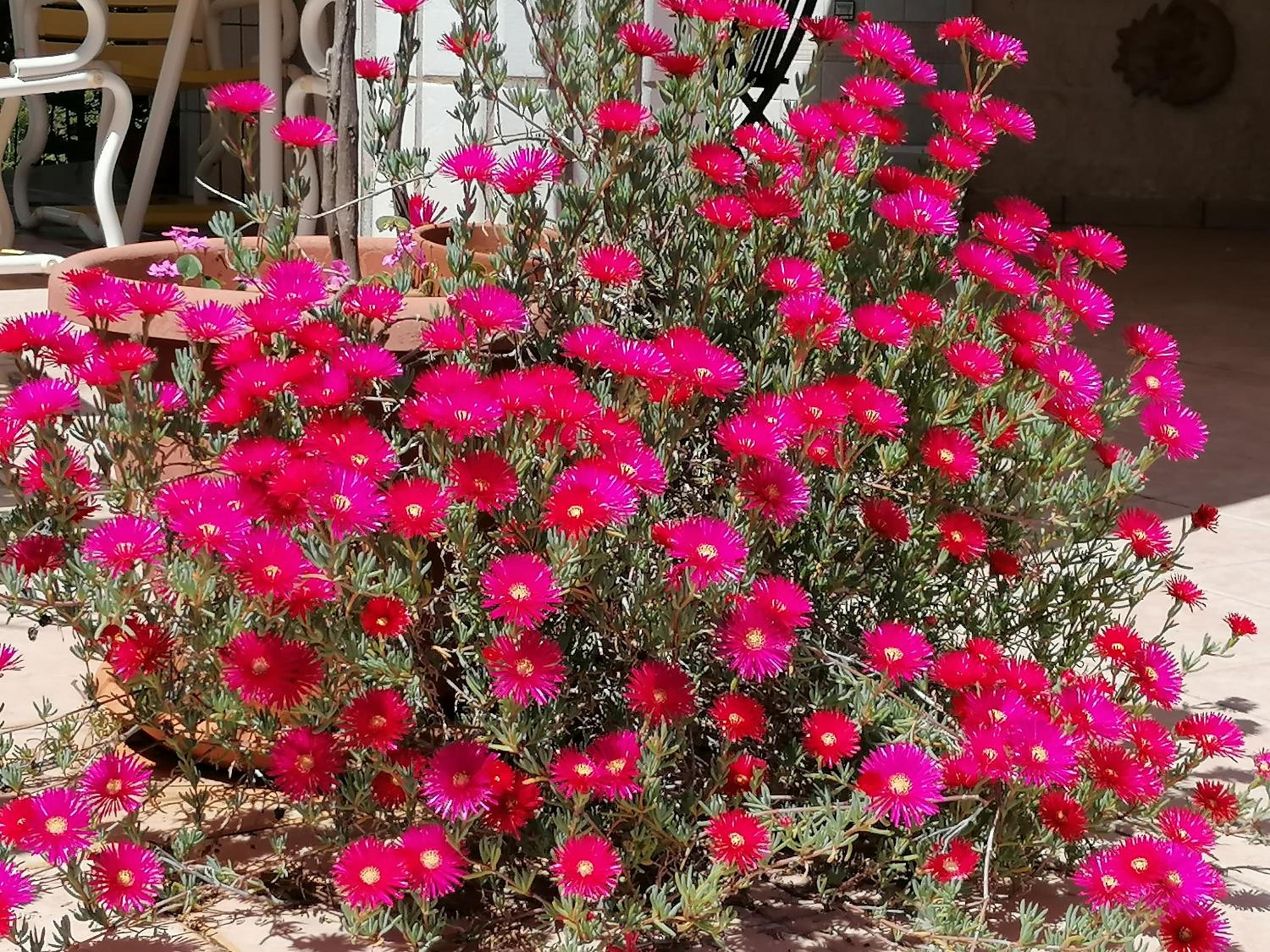 Photo 75