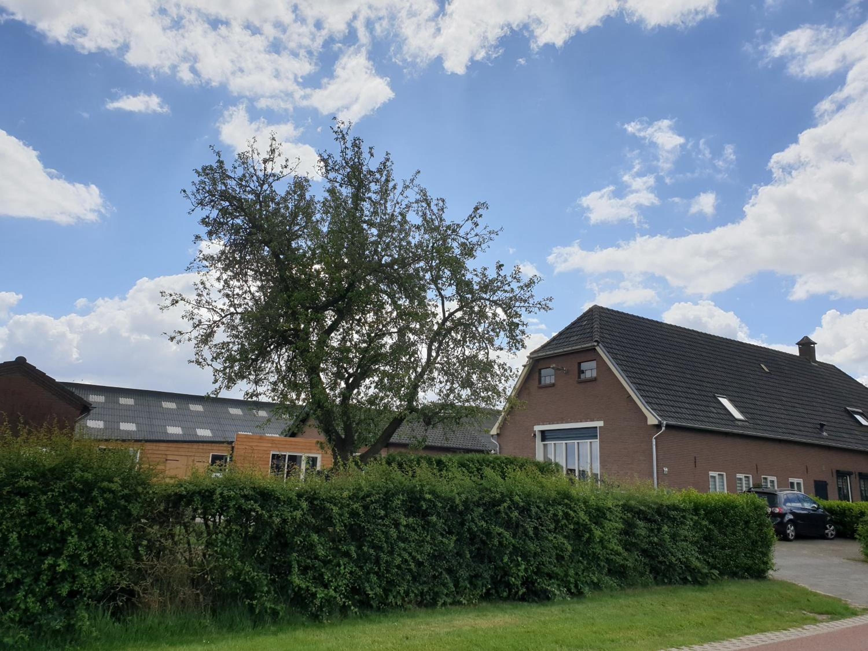 B&B Het Gelders Buitenleven view 4
