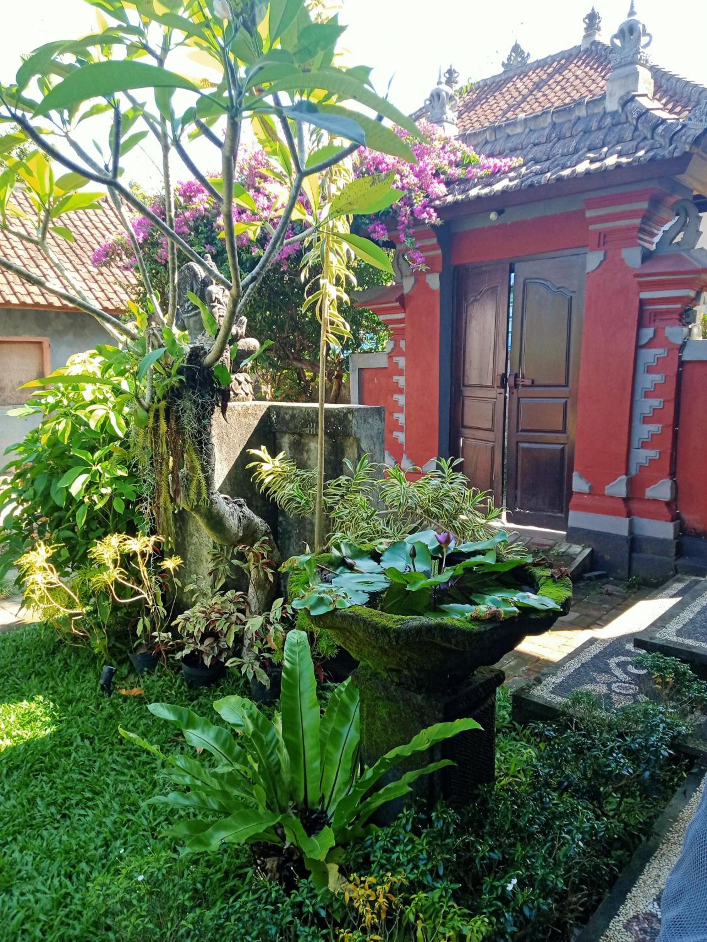 Photo 25