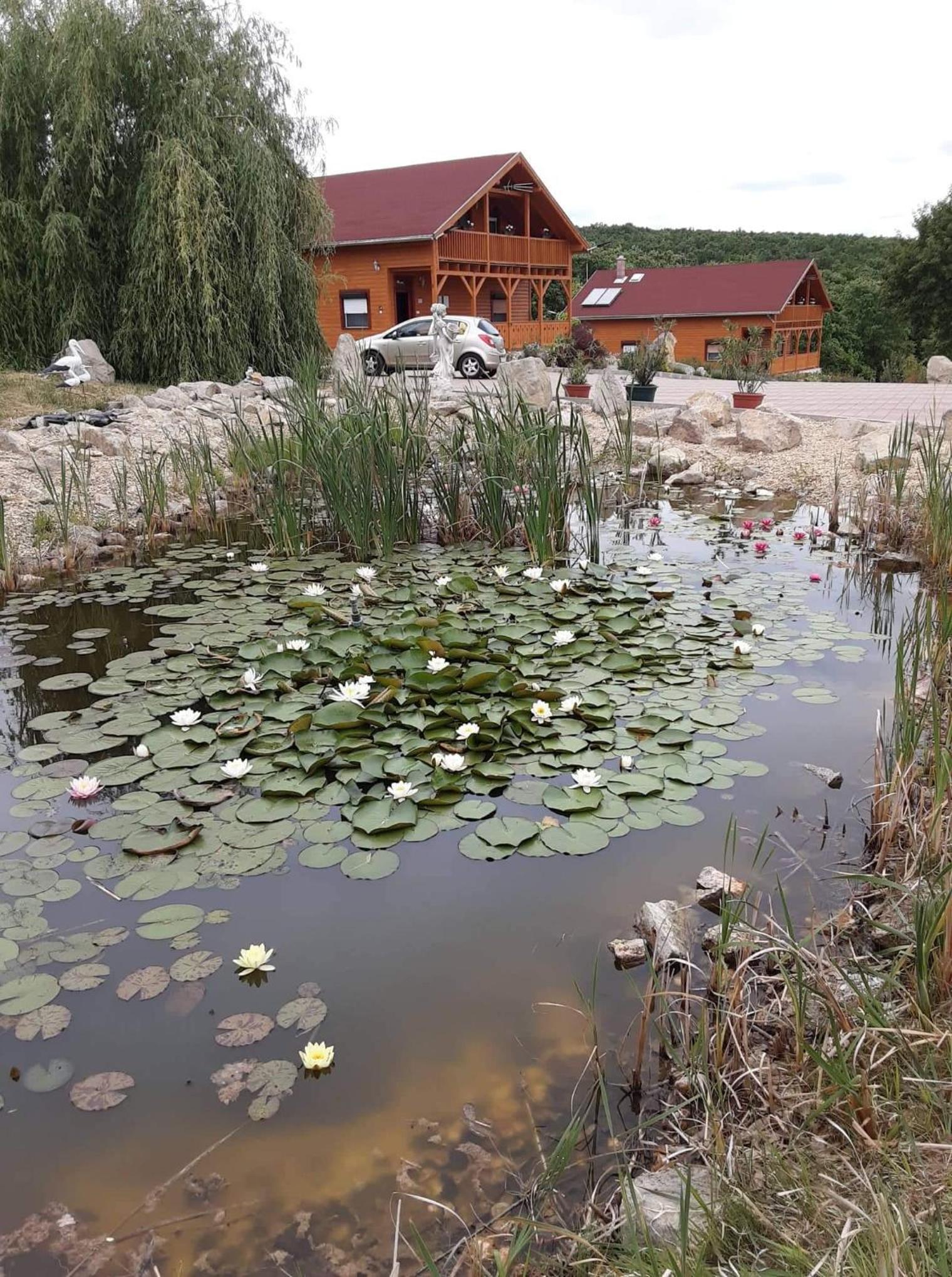 Photo 11