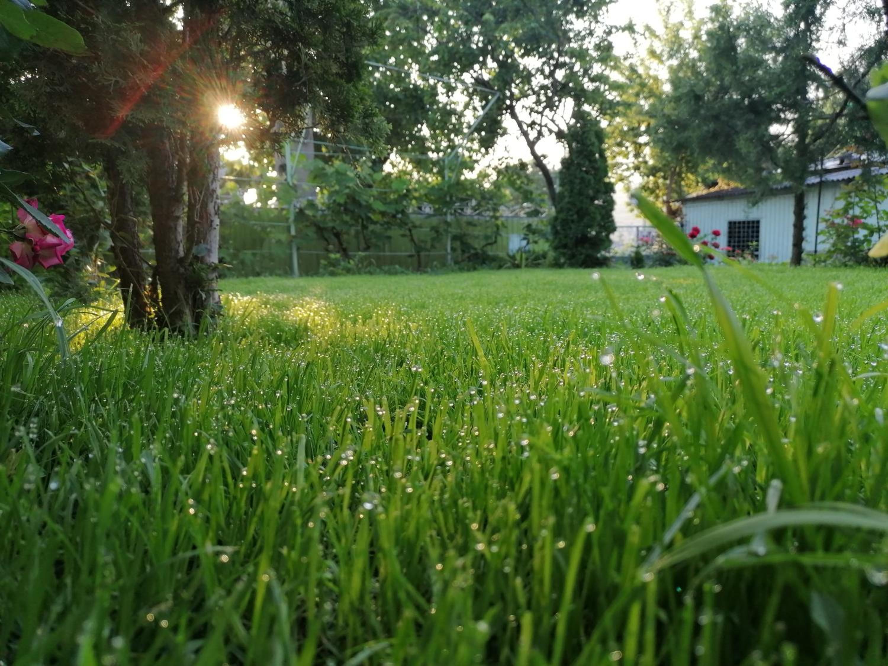 Photo 57